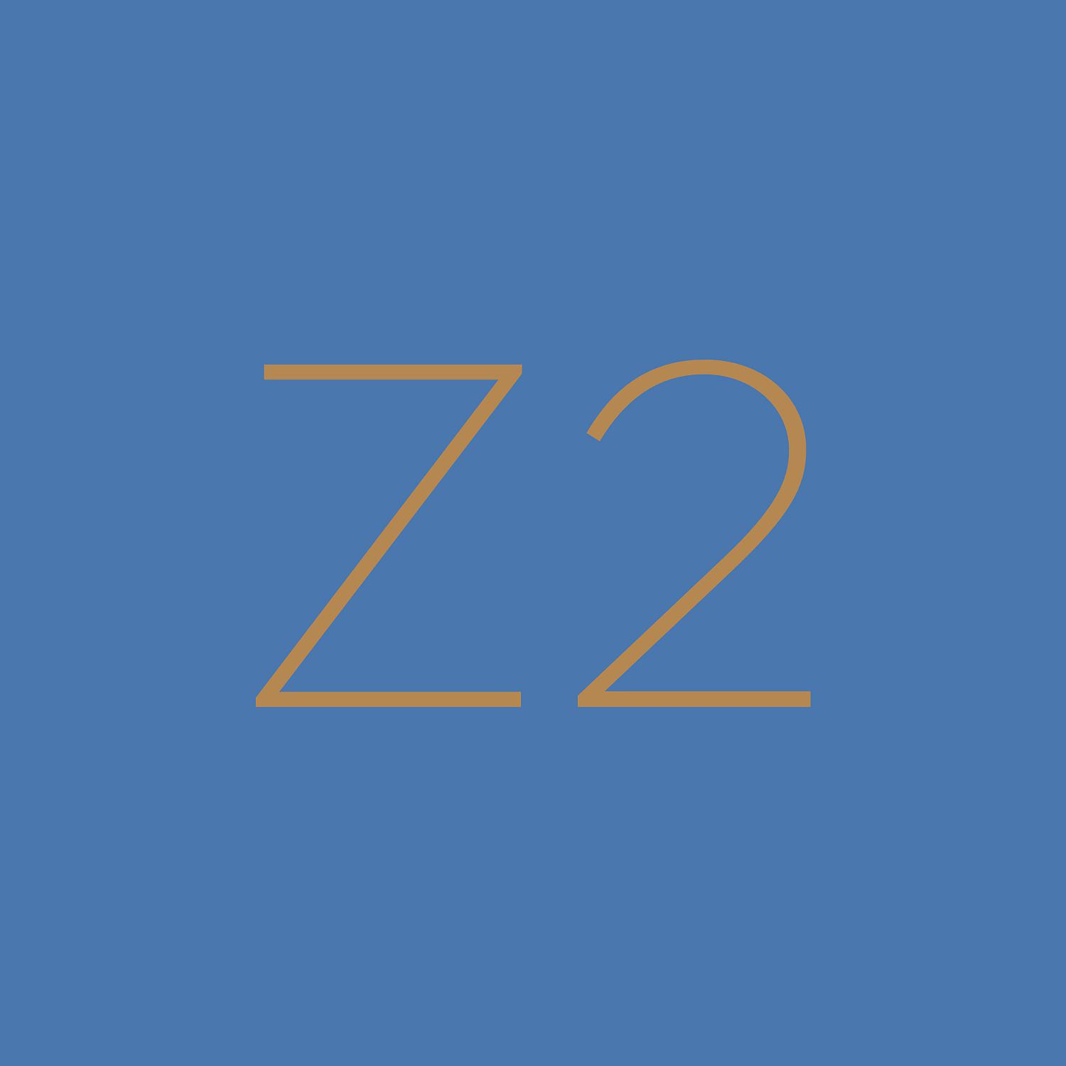 Постер альбома Z2 - Lärm ist Zwang