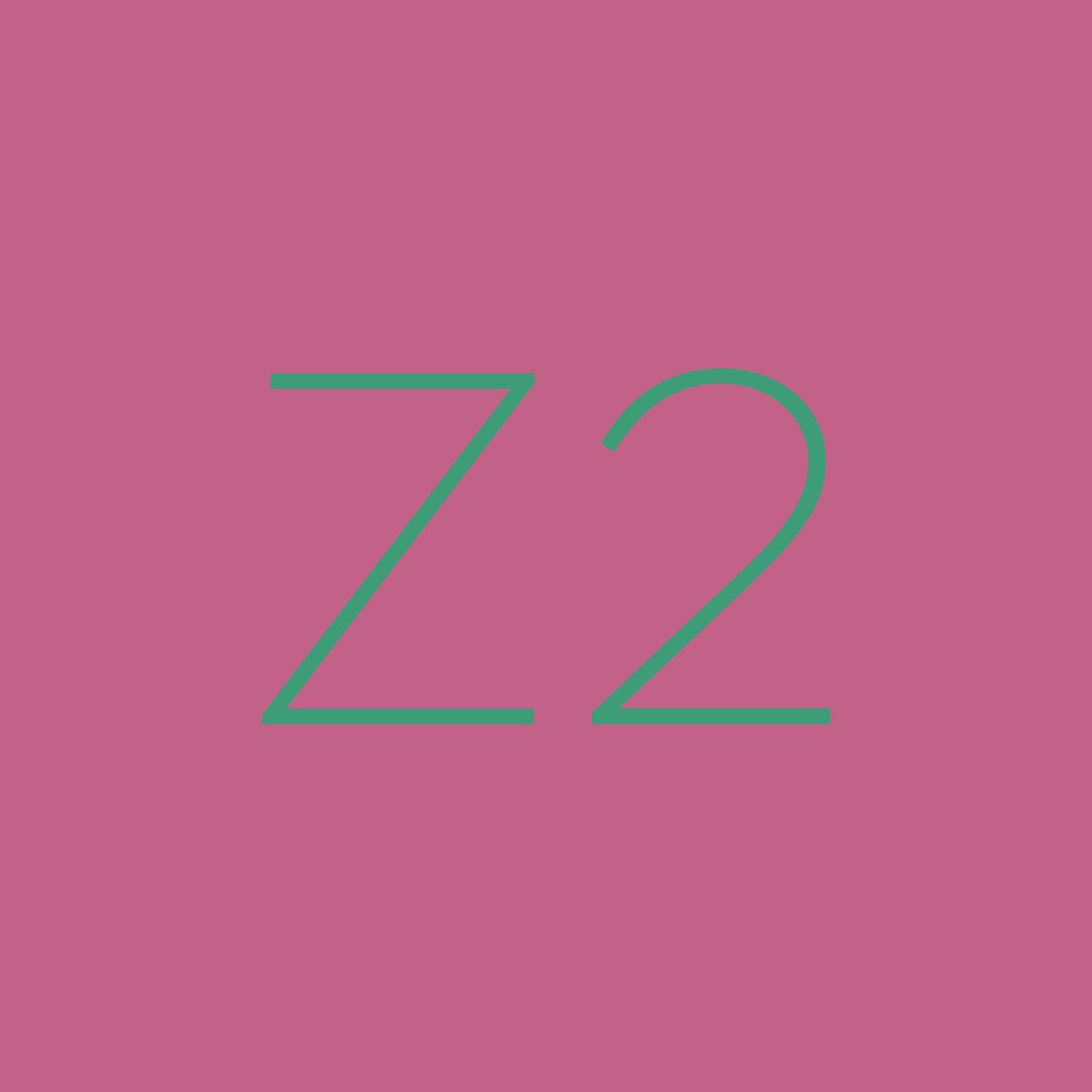 Постер альбома Z2 - In Stille hört man die Welt