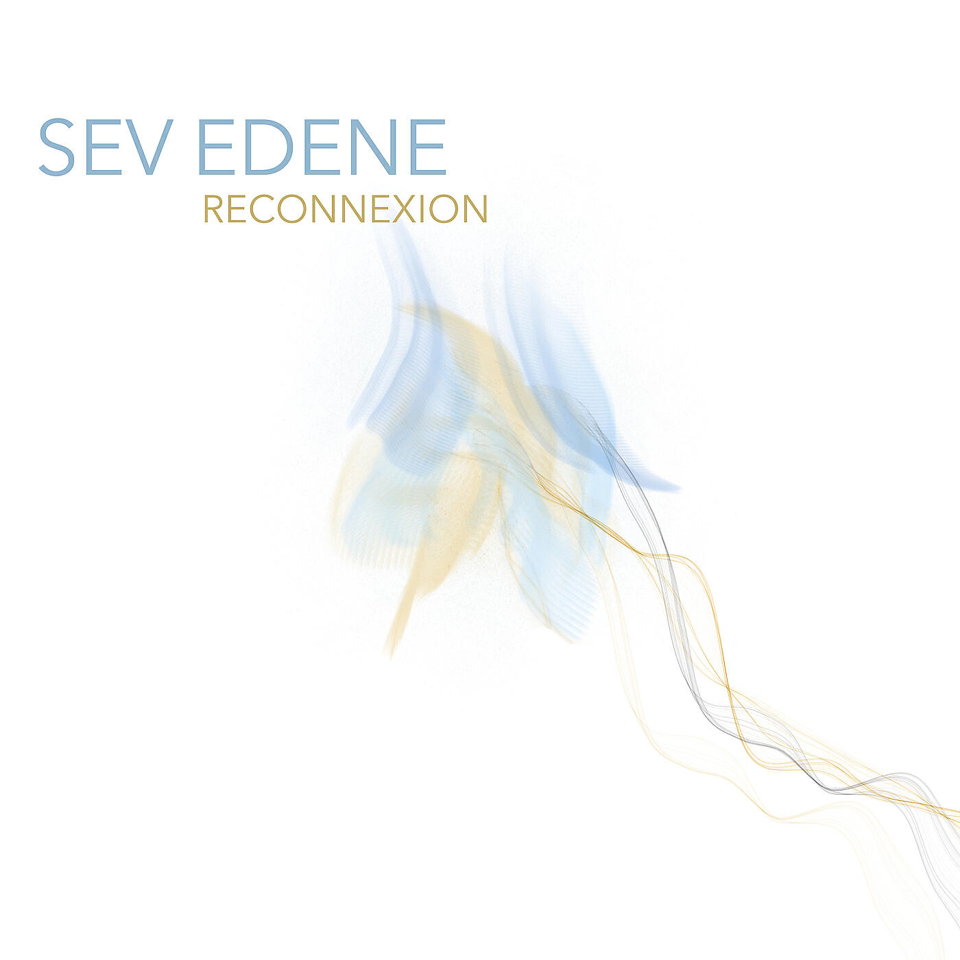 SEV EDENE - Reconnexion