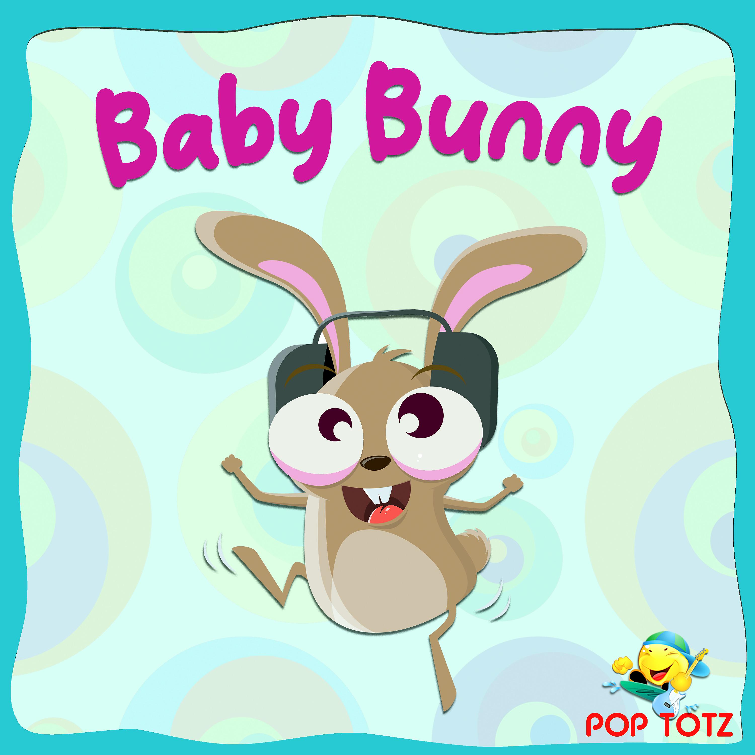 Постер альбома Baby Bunny