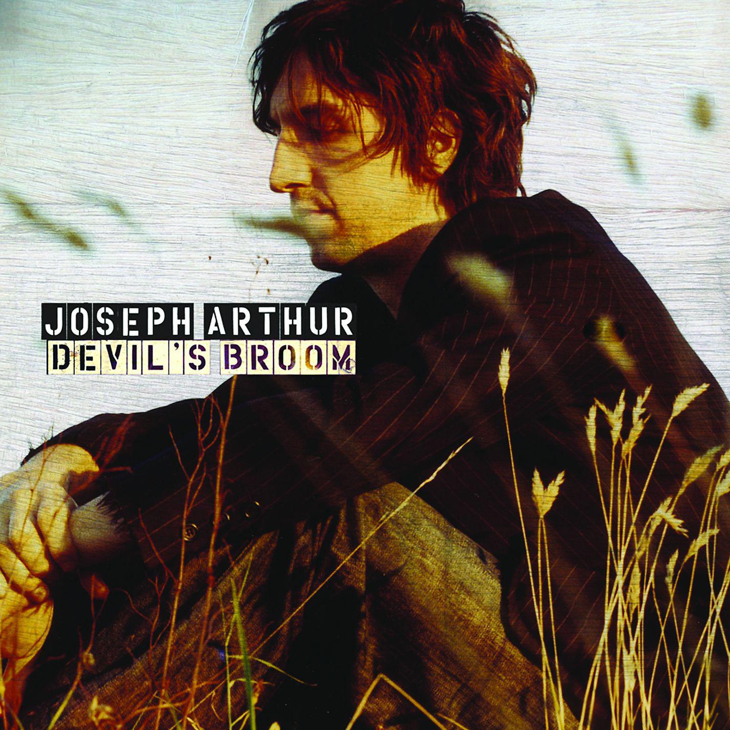 Постер альбома Devil's Broom (7")
