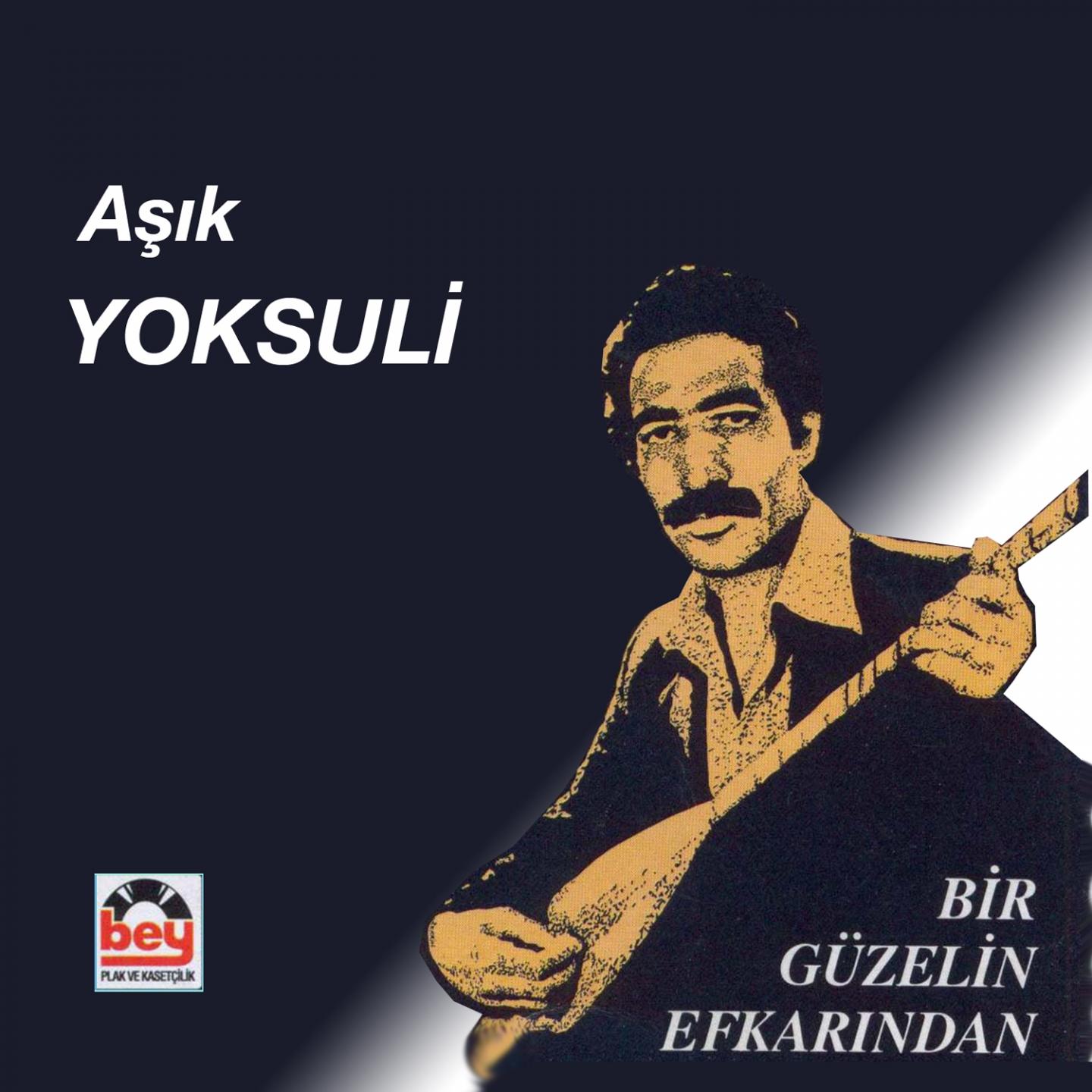 Постер альбома Bir Güzelin Efkarından