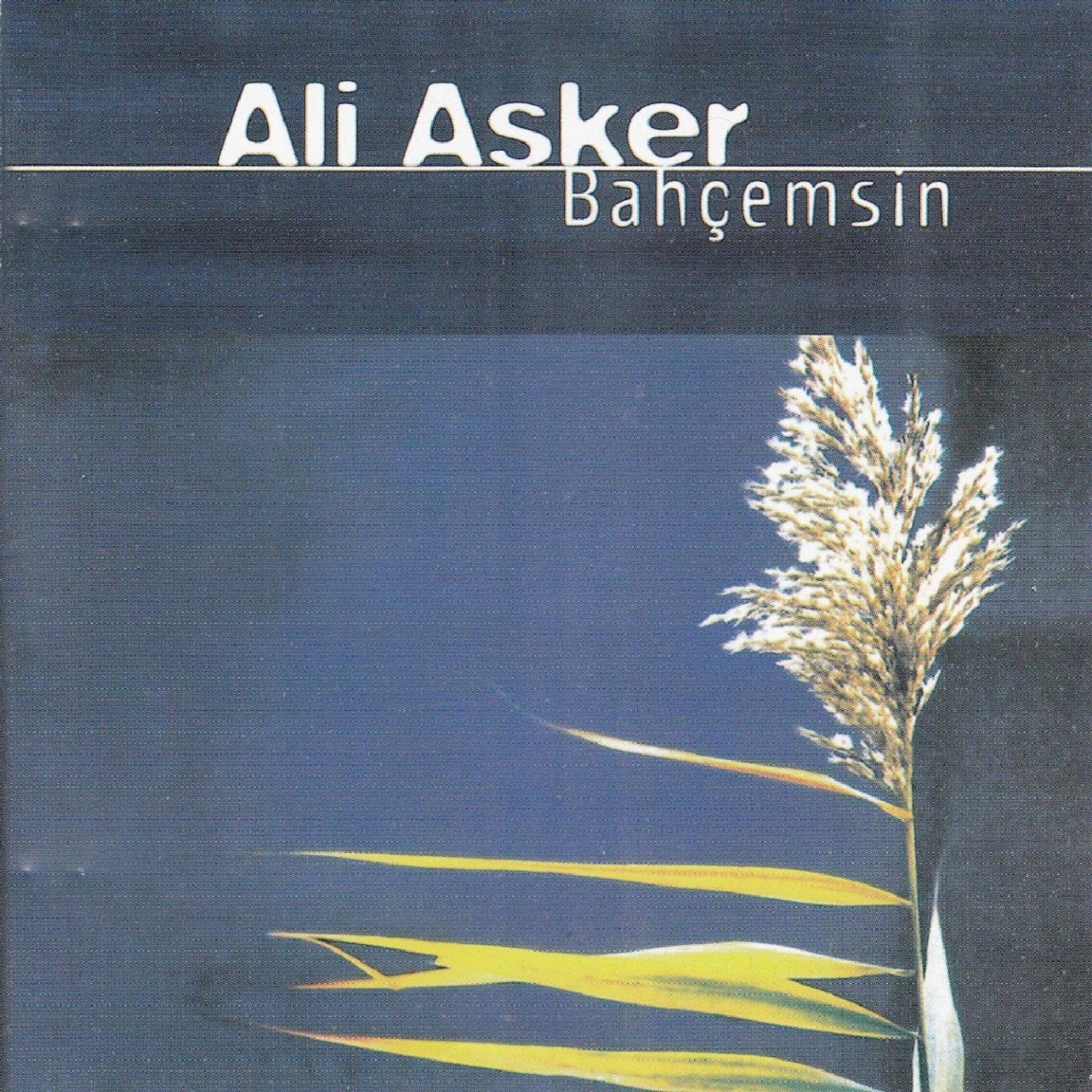 Постер альбома Bahçemsin
