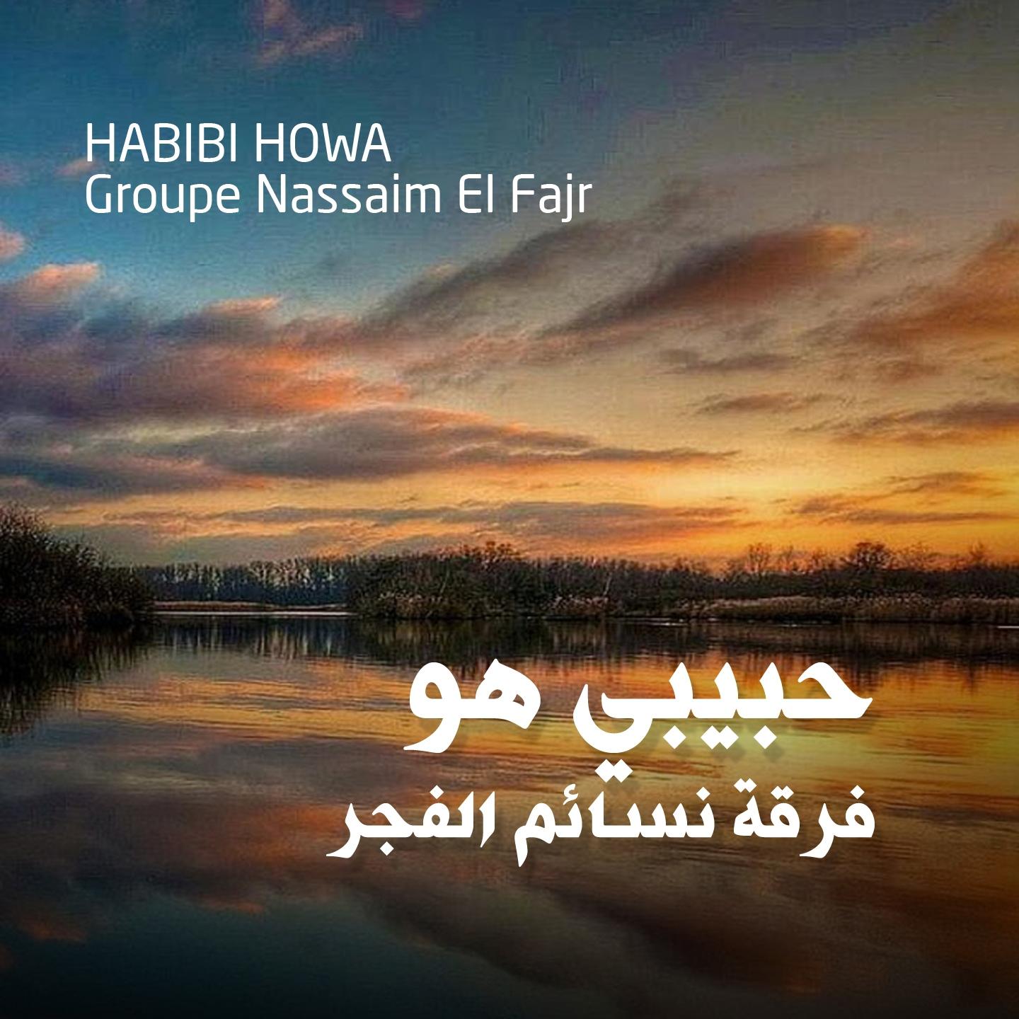 Постер альбома Habibi Howa