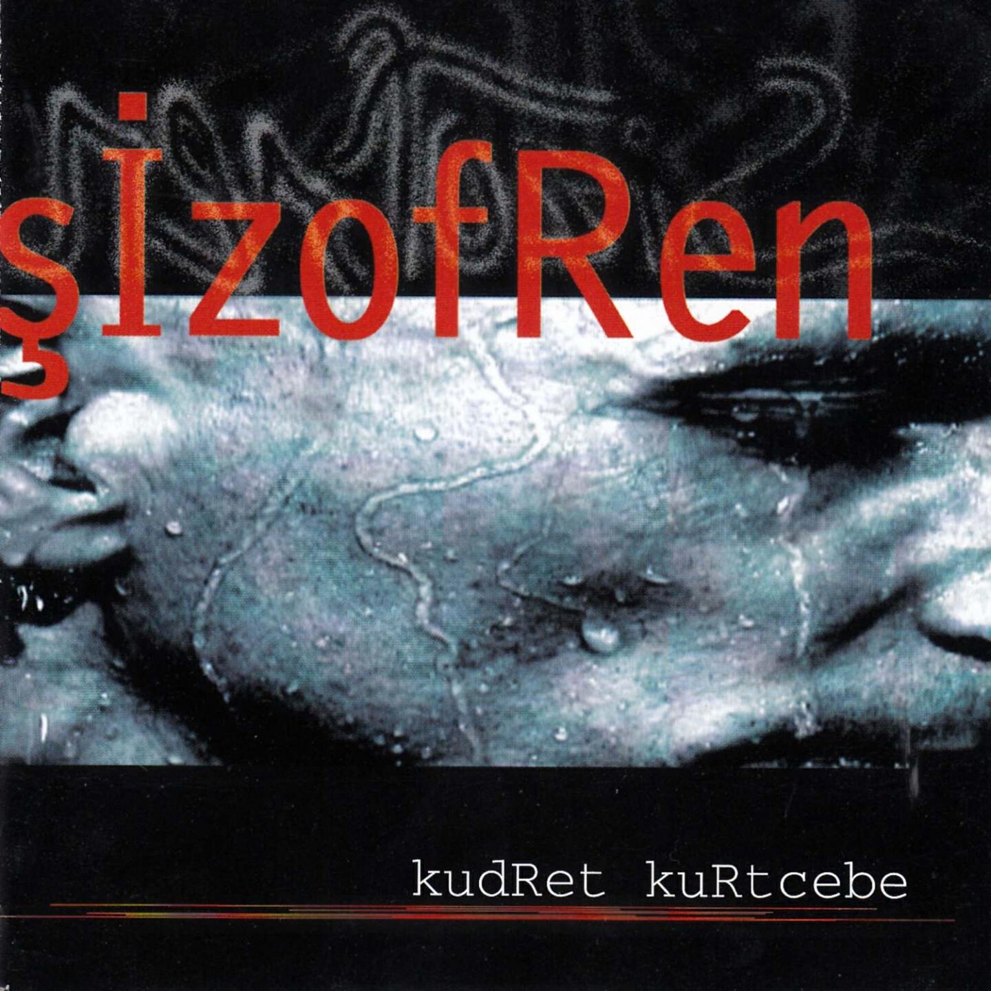 Kudret Kurtcebe - Şöhret