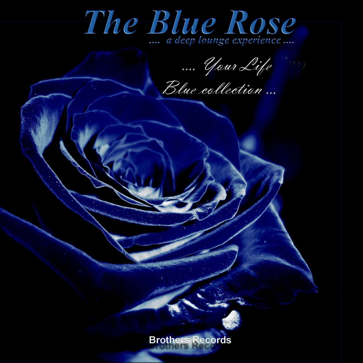 The Blue Rose - Exited