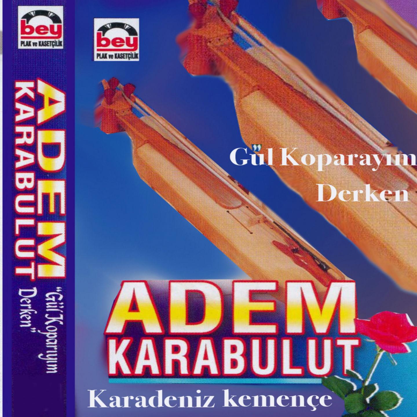 Постер альбома Gül Koparayım Derken