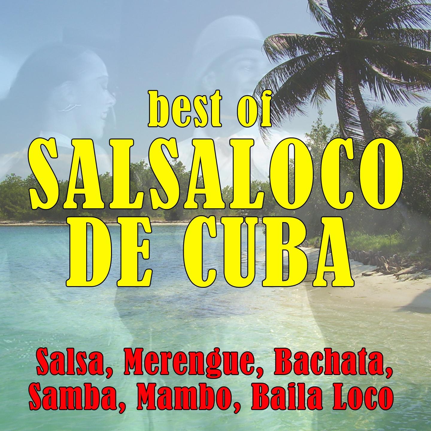 Постер альбома Best of Salsaloco de Cuba