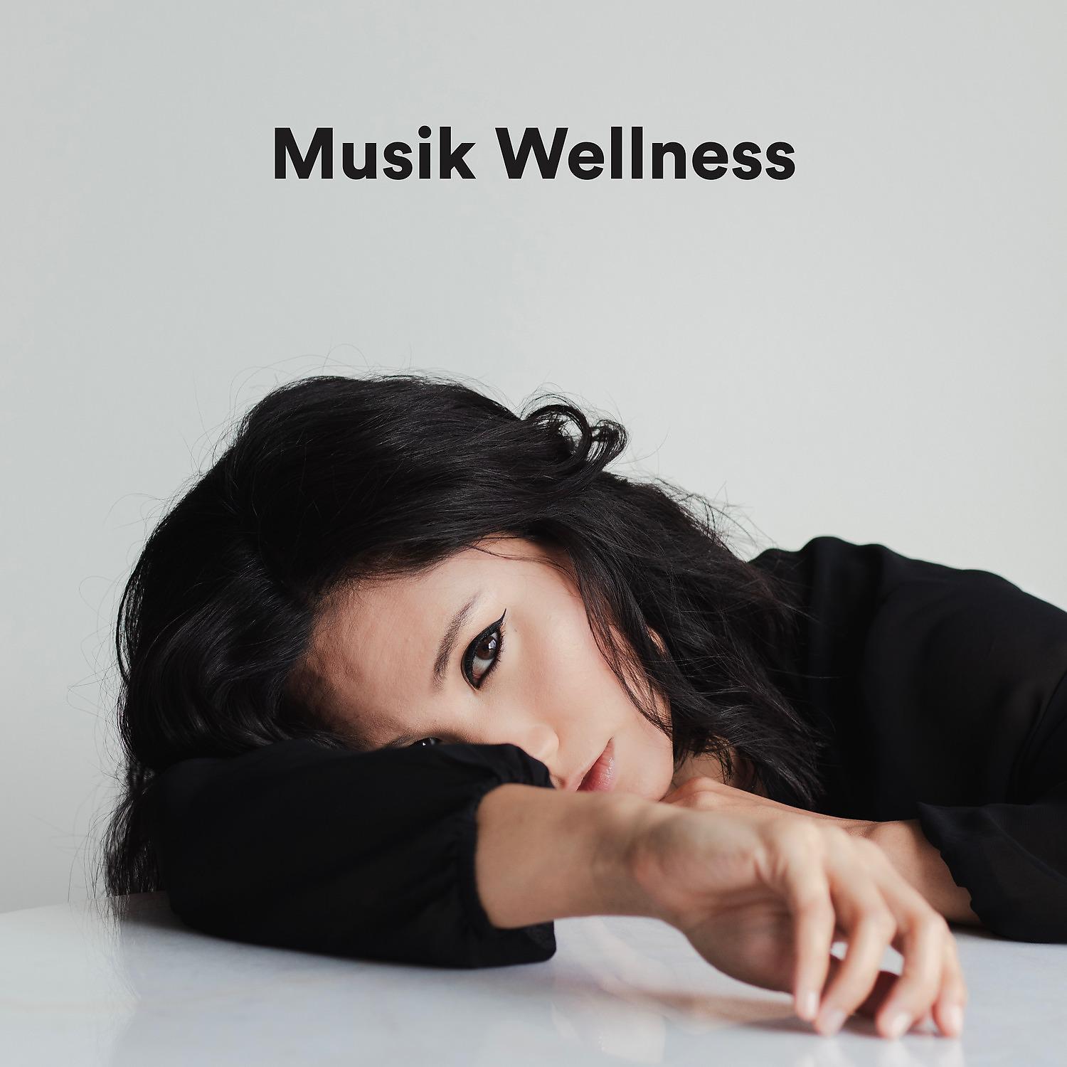 Постер альбома Musik Wellness