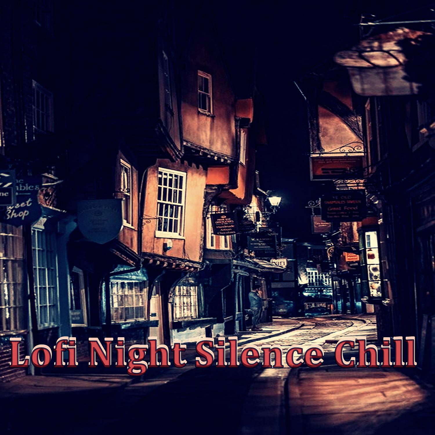 Постер альбома Lofi Night Silence Chill