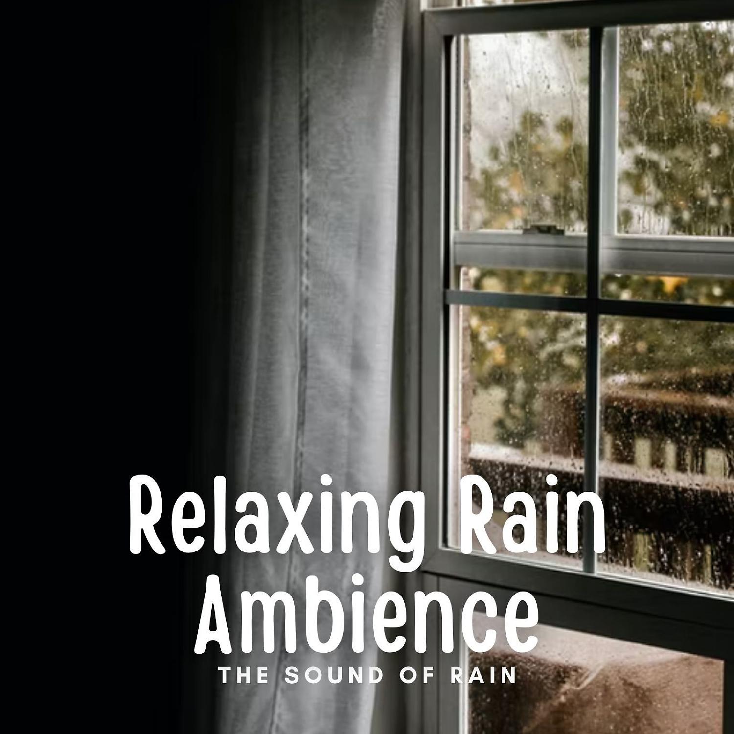 Постер альбома The Sound of Rain: Relaxing Rain Ambience