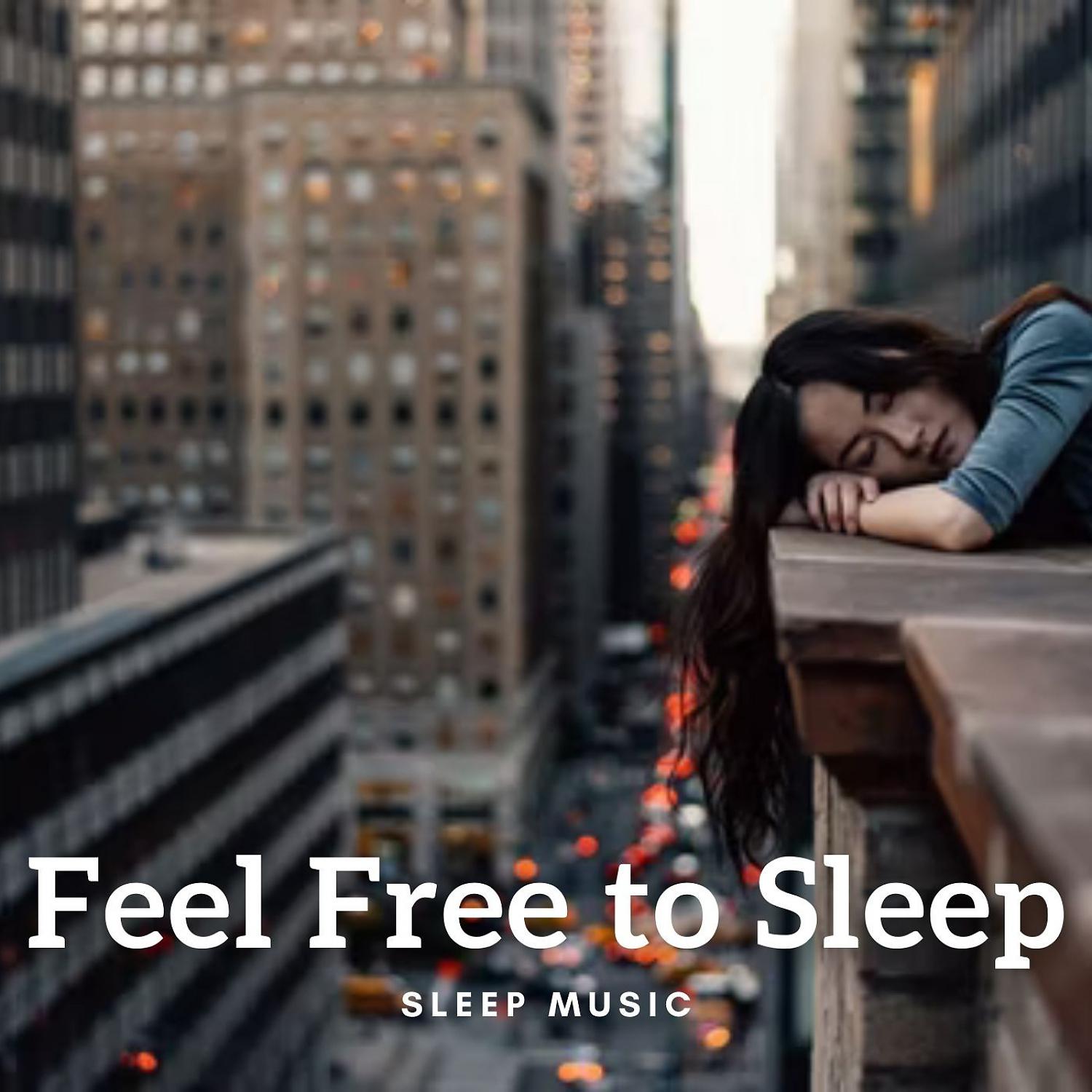 Постер альбома Sleep Music: Feel Free to Sleep