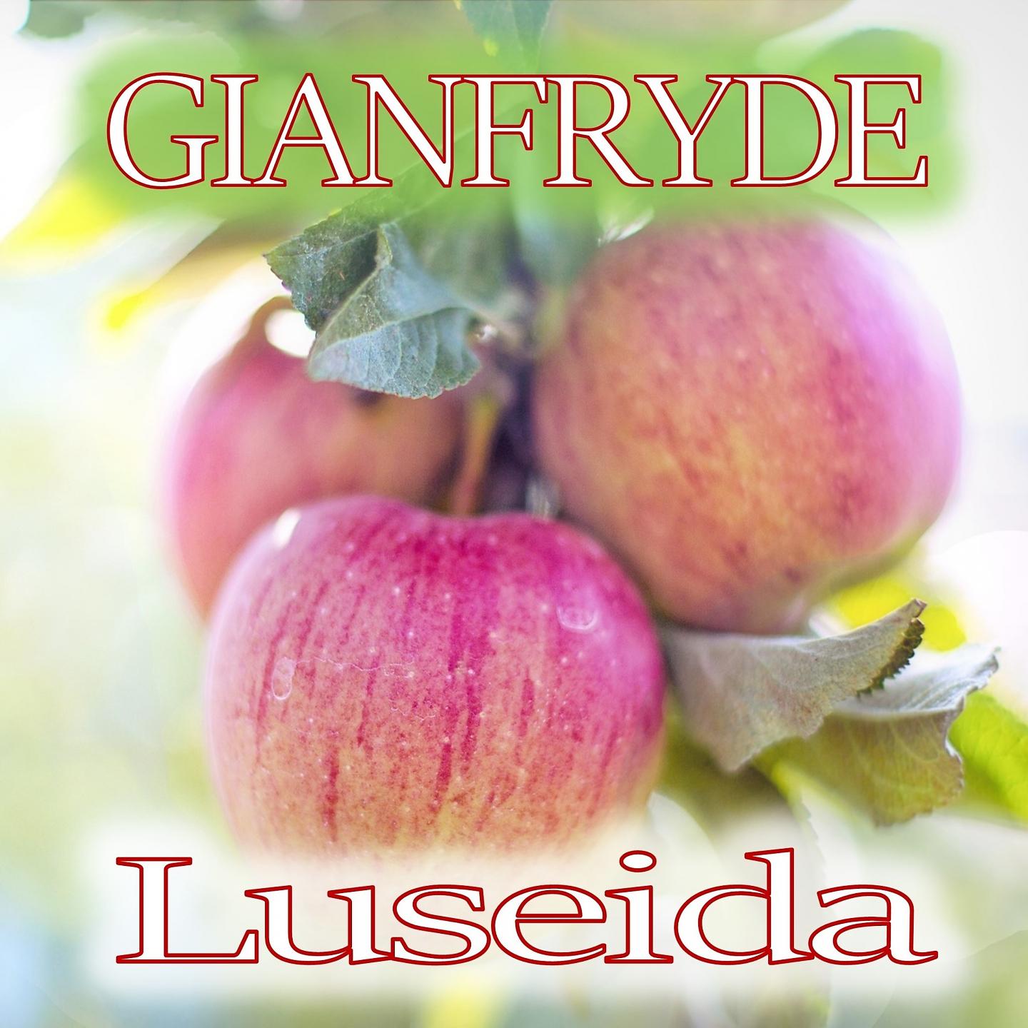 Постер альбома Luseida