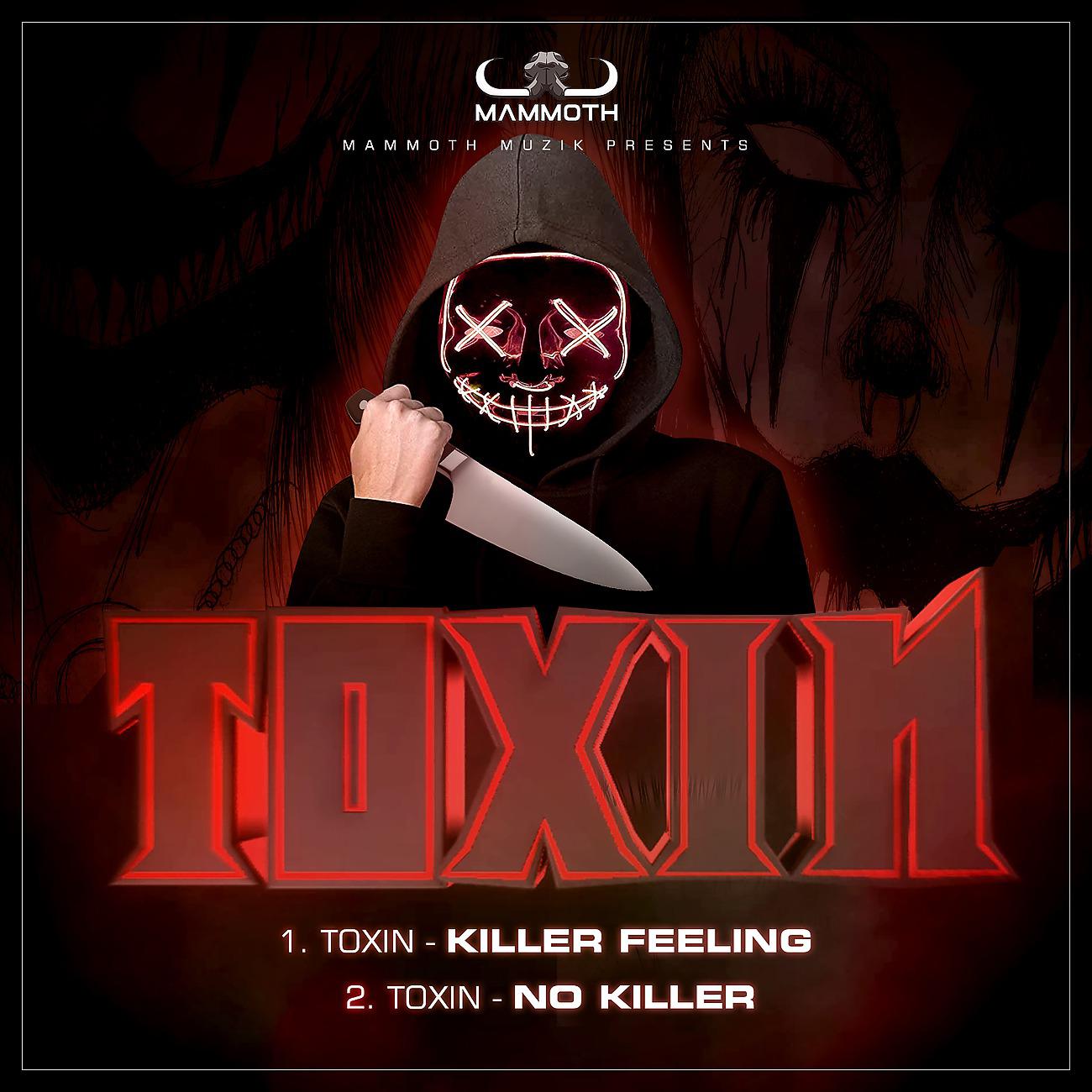 Постер альбома Killer Feeling/No Killer