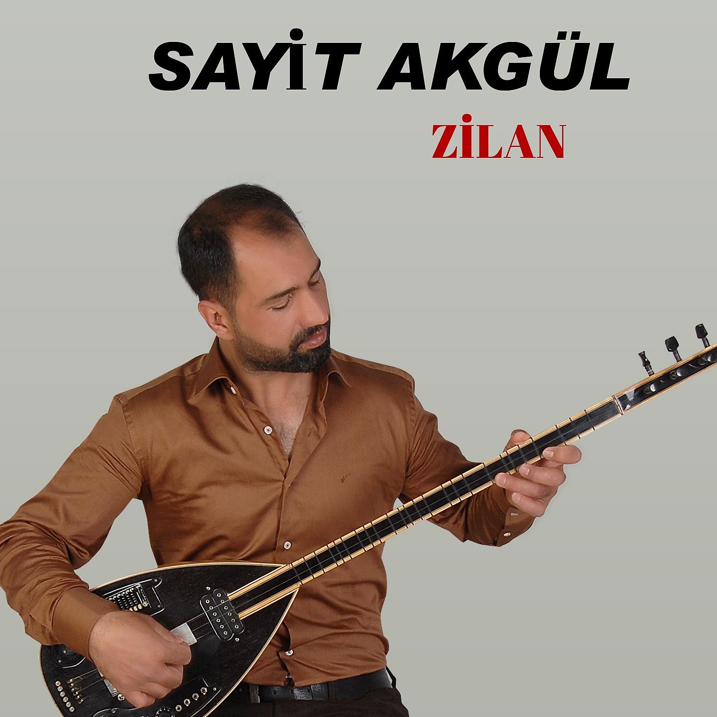 Постер альбома Zilan