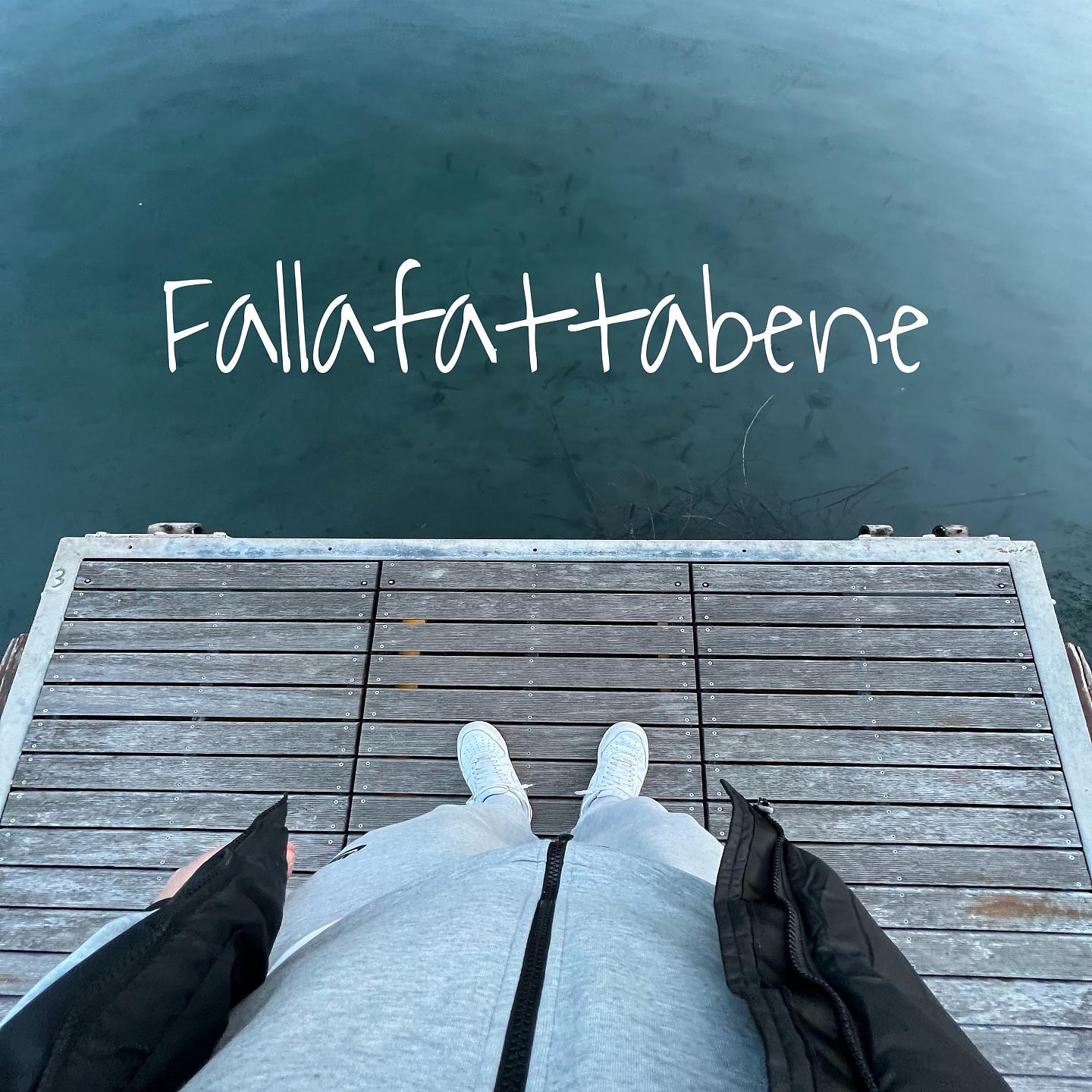 Постер альбома Fallafattabene