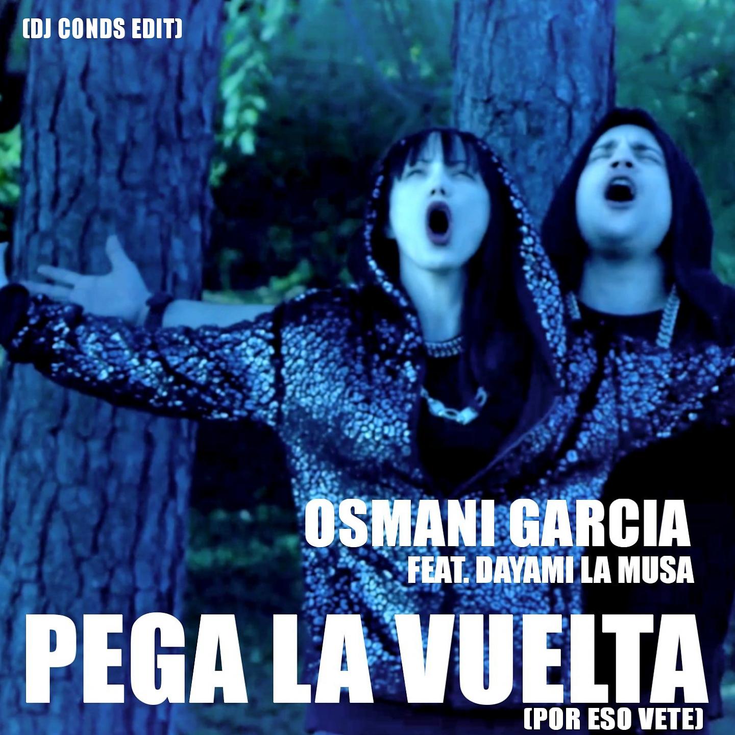 Постер альбома Pega la Vuelta (Por Eso Vete)