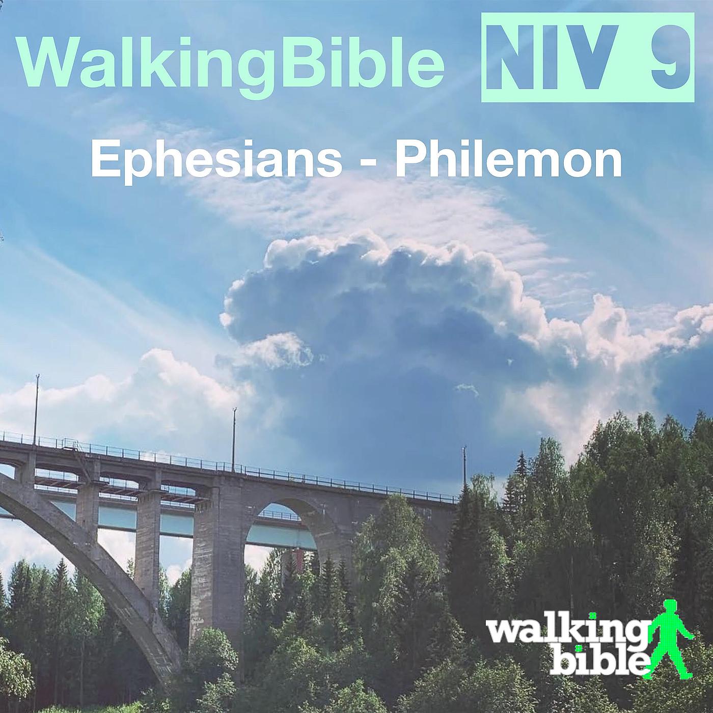 Постер альбома WalkingBible Niv 9 Ephesians - Philemon