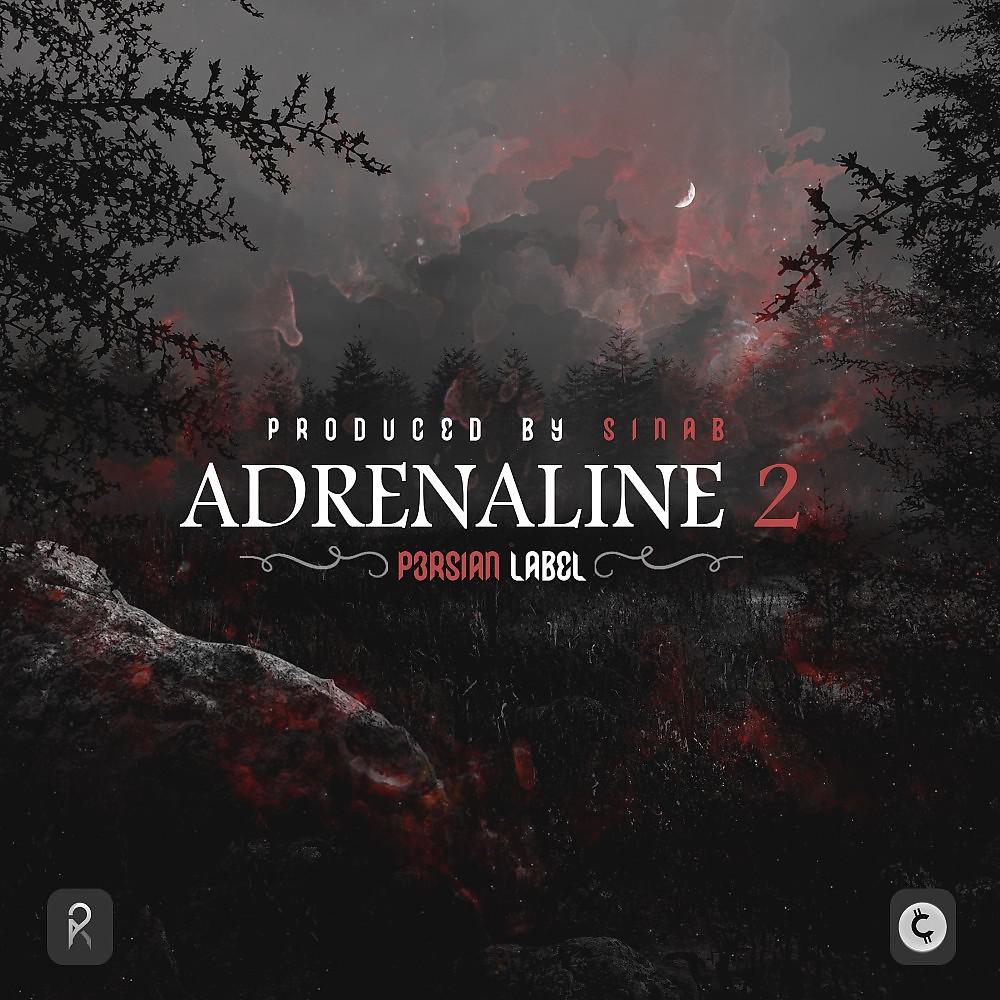 Постер альбома Adrenaline 2