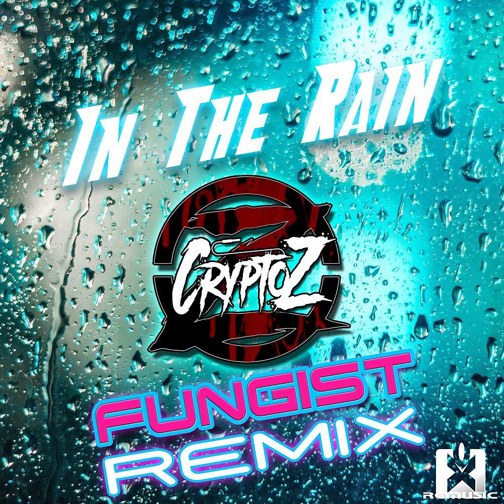 Постер альбома In the Rain (Fungist Remix)