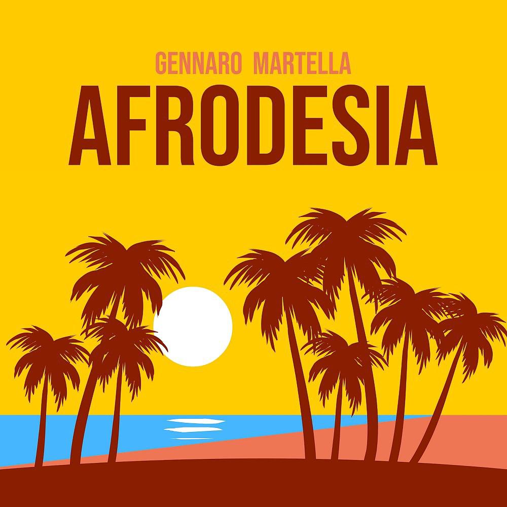 Постер альбома Afrodesia