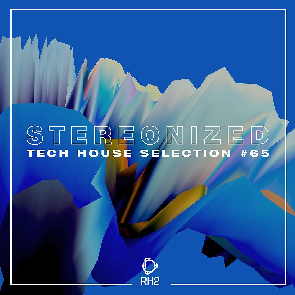 Постер альбома Stereonized: Tech House Selection, Vol. 65