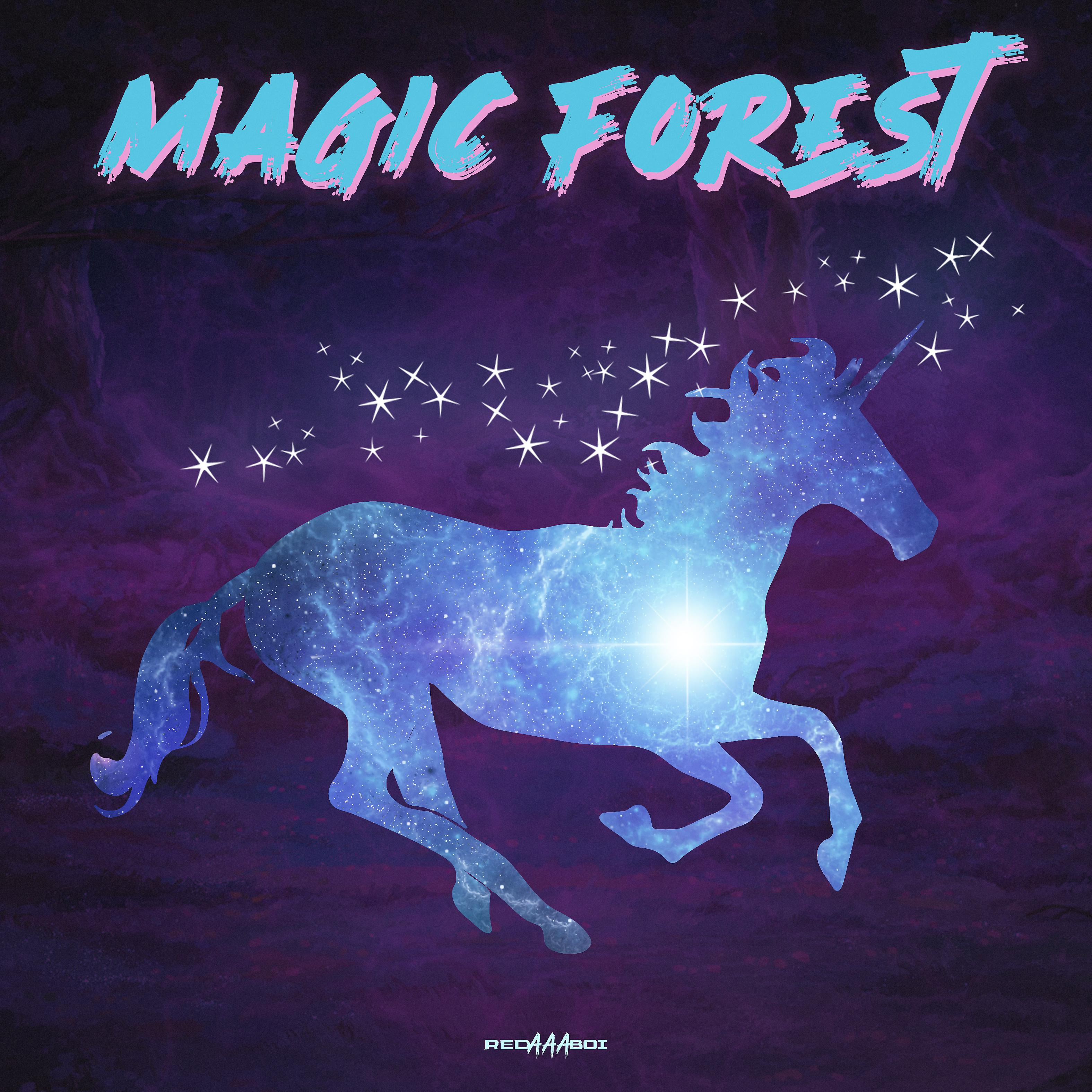 Постер альбома Magic Forest