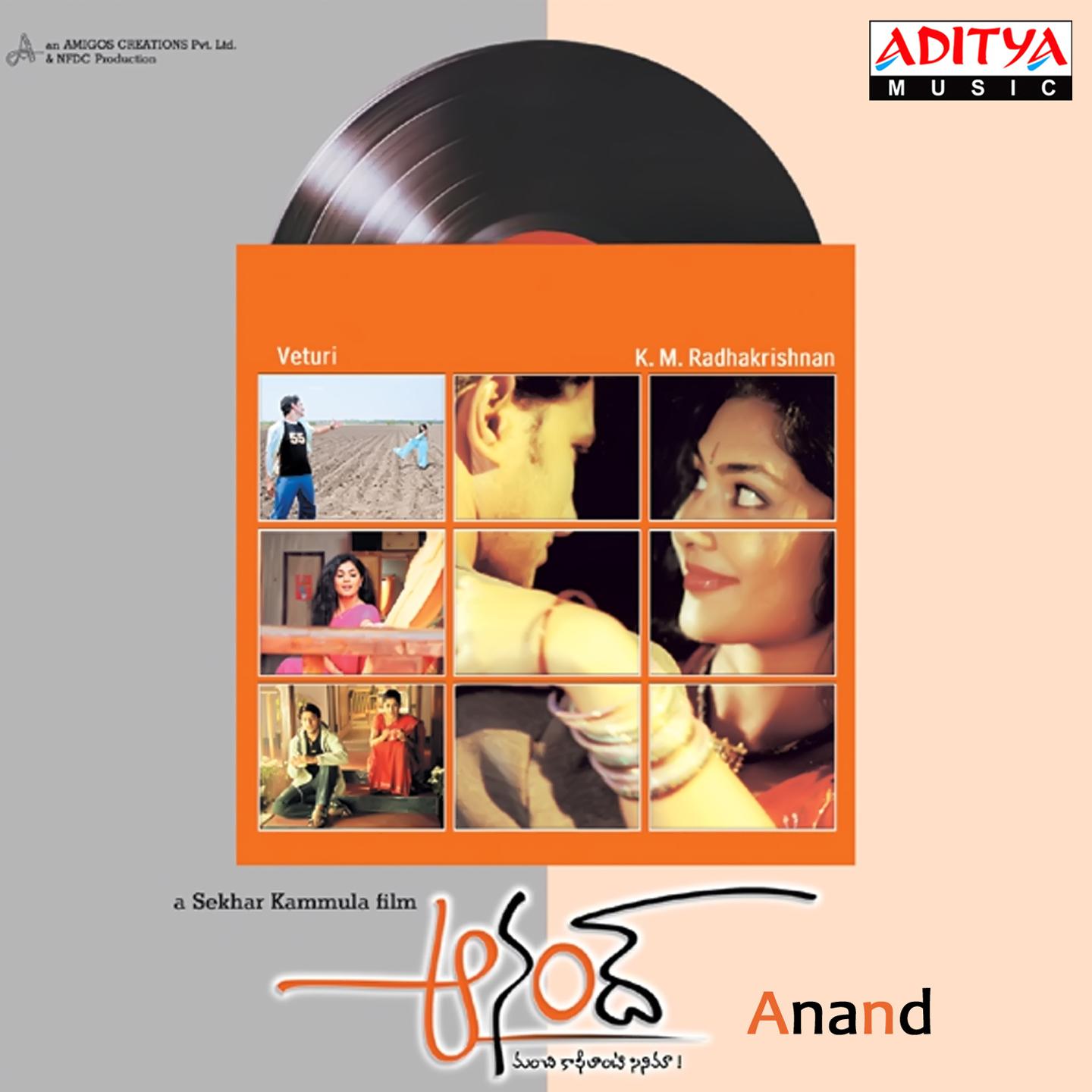 Постер альбома Anand