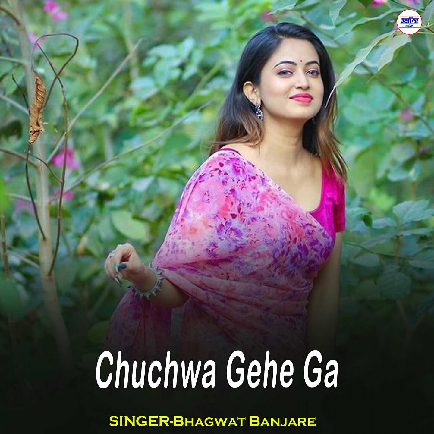 Bhagwat Banjare - Chuchwa Gehe Ga
