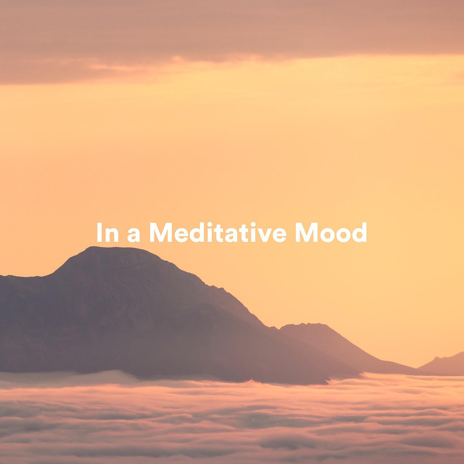 Постер альбома In a Meditative Mood