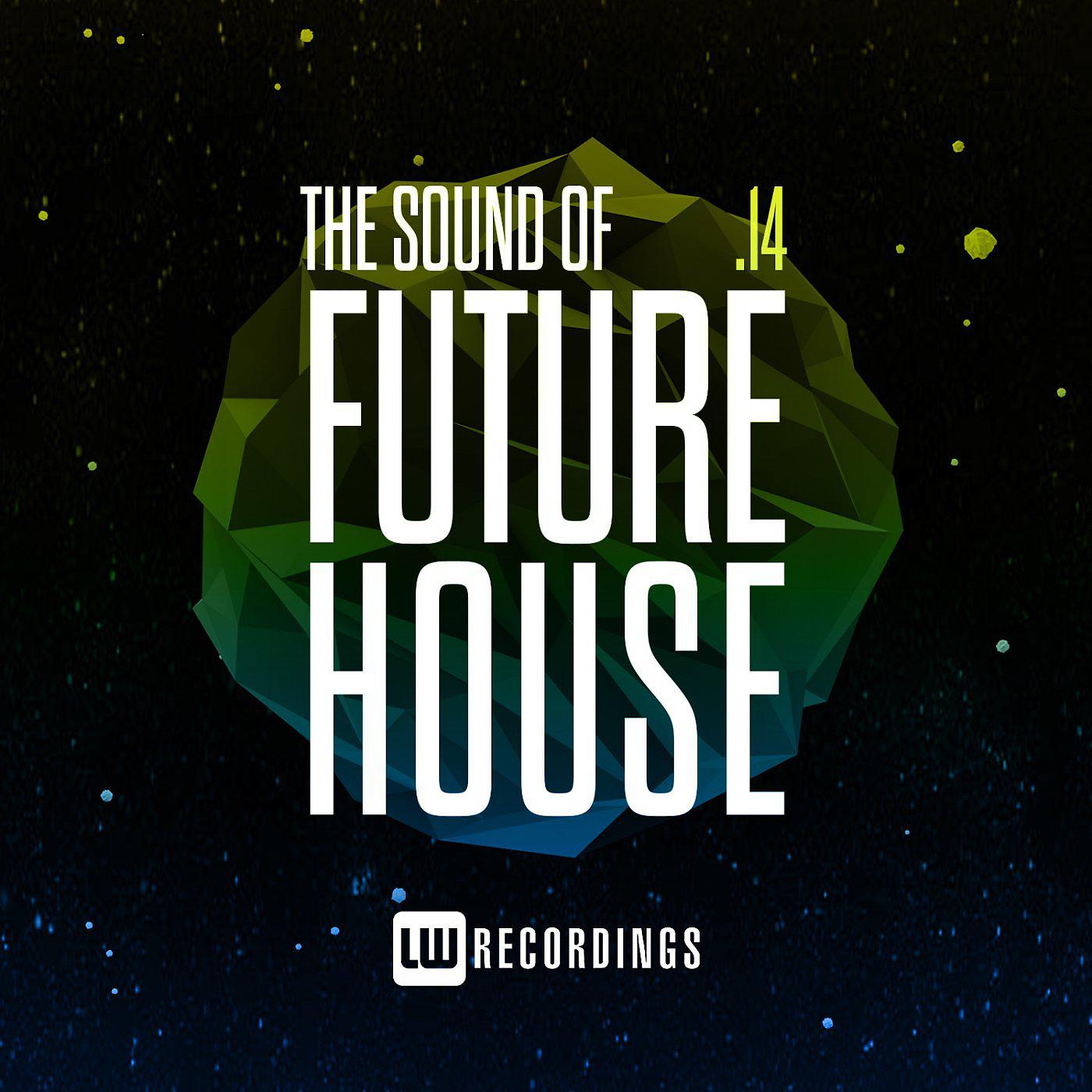 Постер альбома The Sound Of Future House, Vol. 14