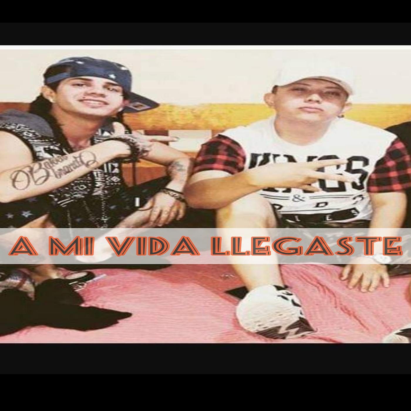 Постер альбома A Mi Vida Llegaste