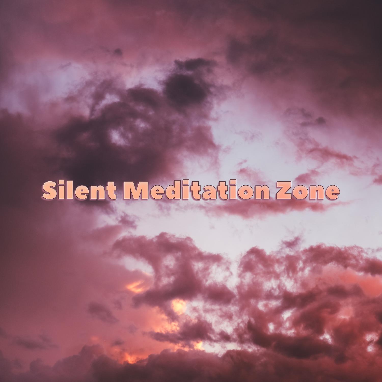 Постер альбома Silent Meditation Zone