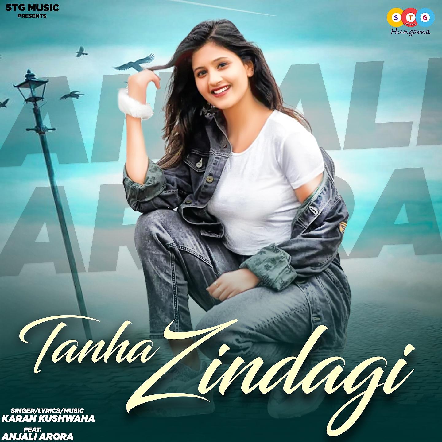 Постер альбома Tanha Zindagi