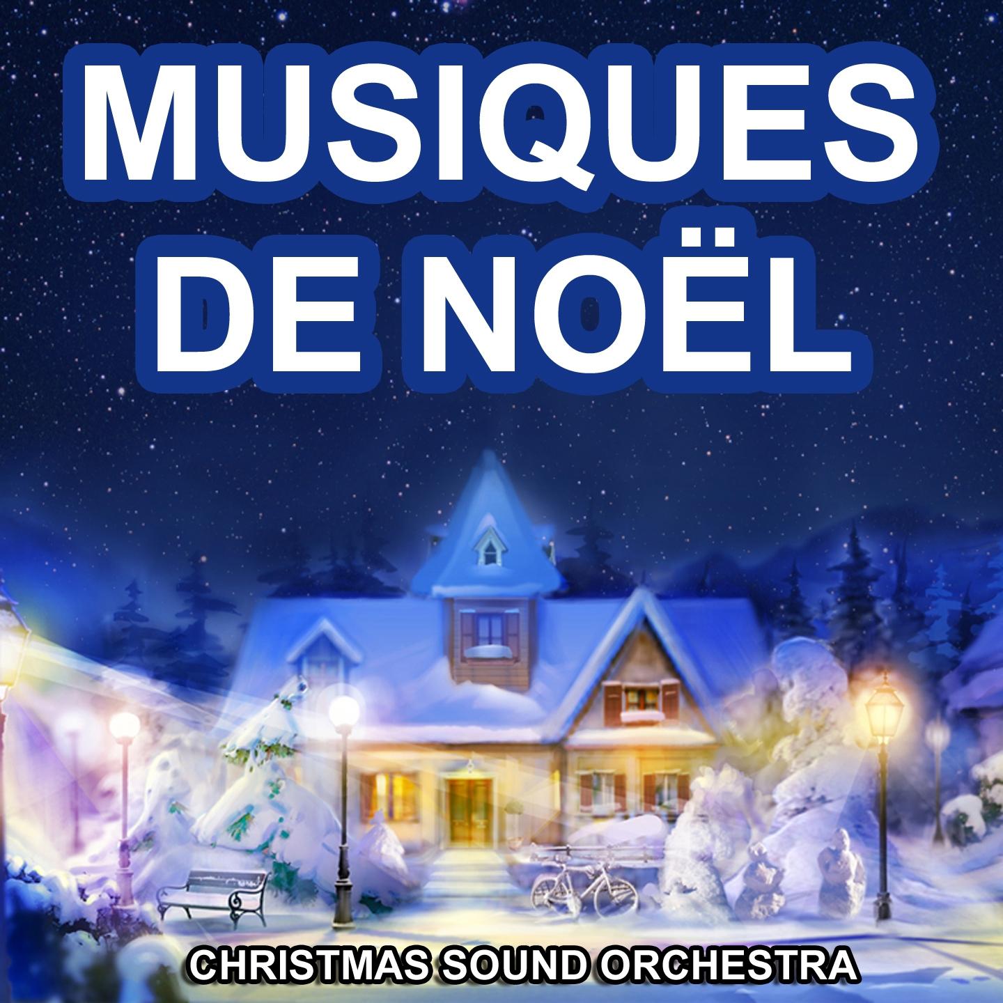 Постер альбома Musiques de Noël