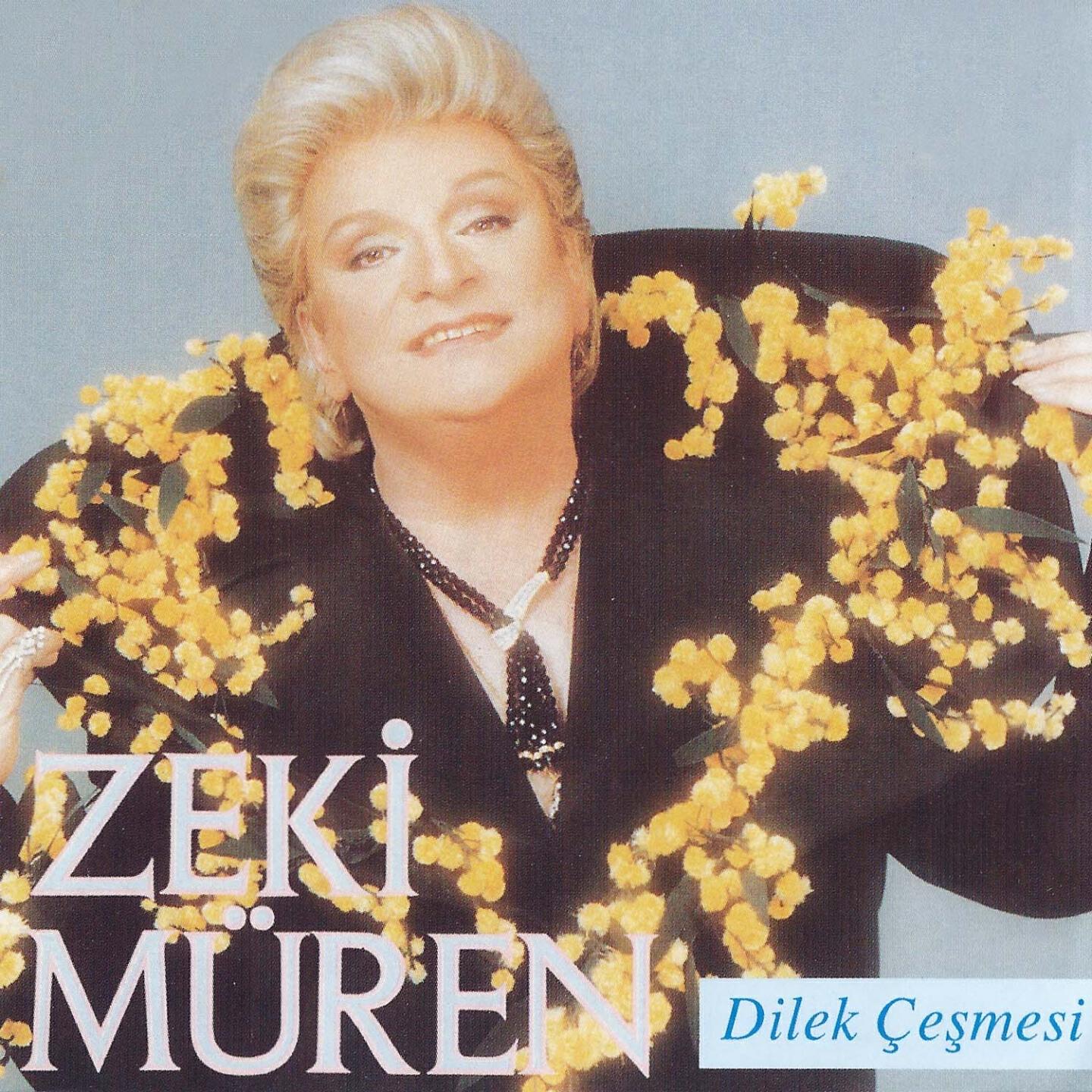 Zeki Müren - Ayrılık (Azeri)