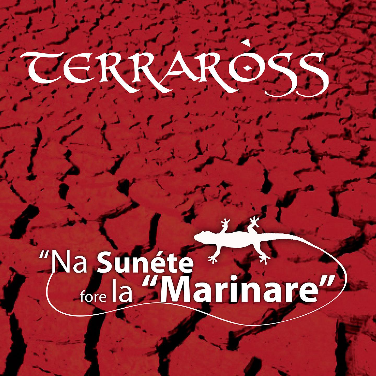 Постер альбома Na Sunete fore la Marinare