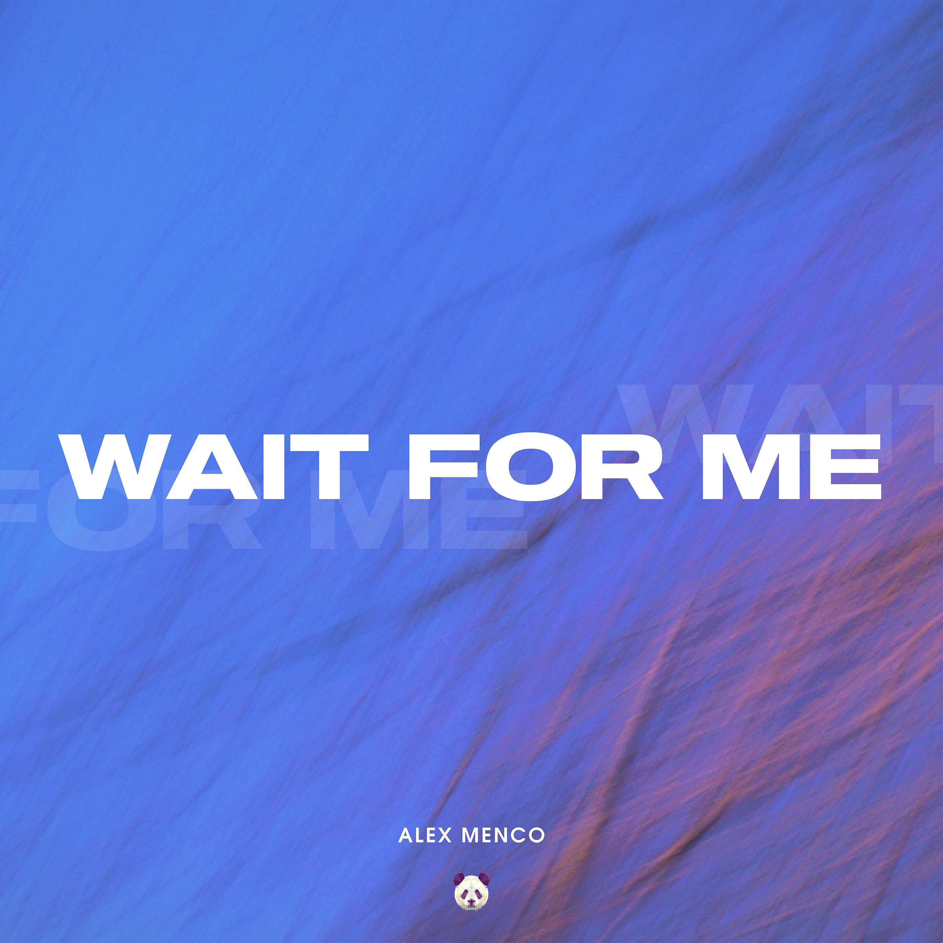 Постер альбома Wait for Me