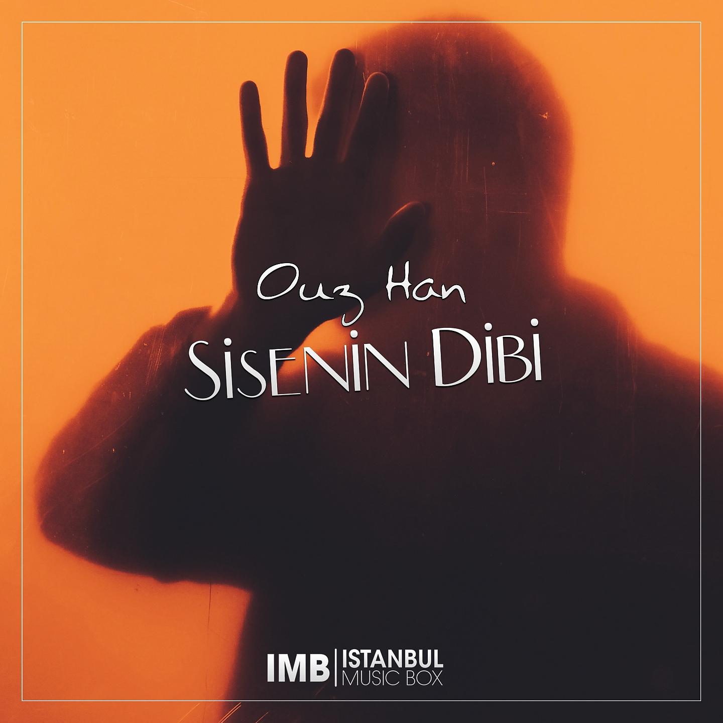 Постер альбома Şişenin Dibi