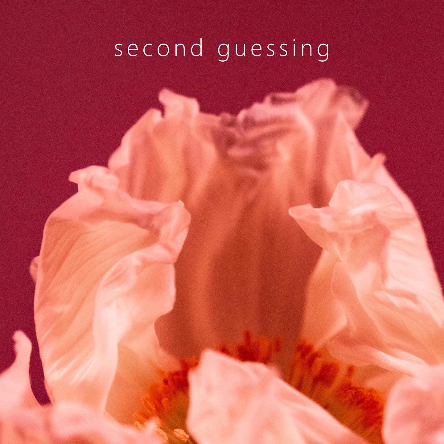 Постер альбома second guessing