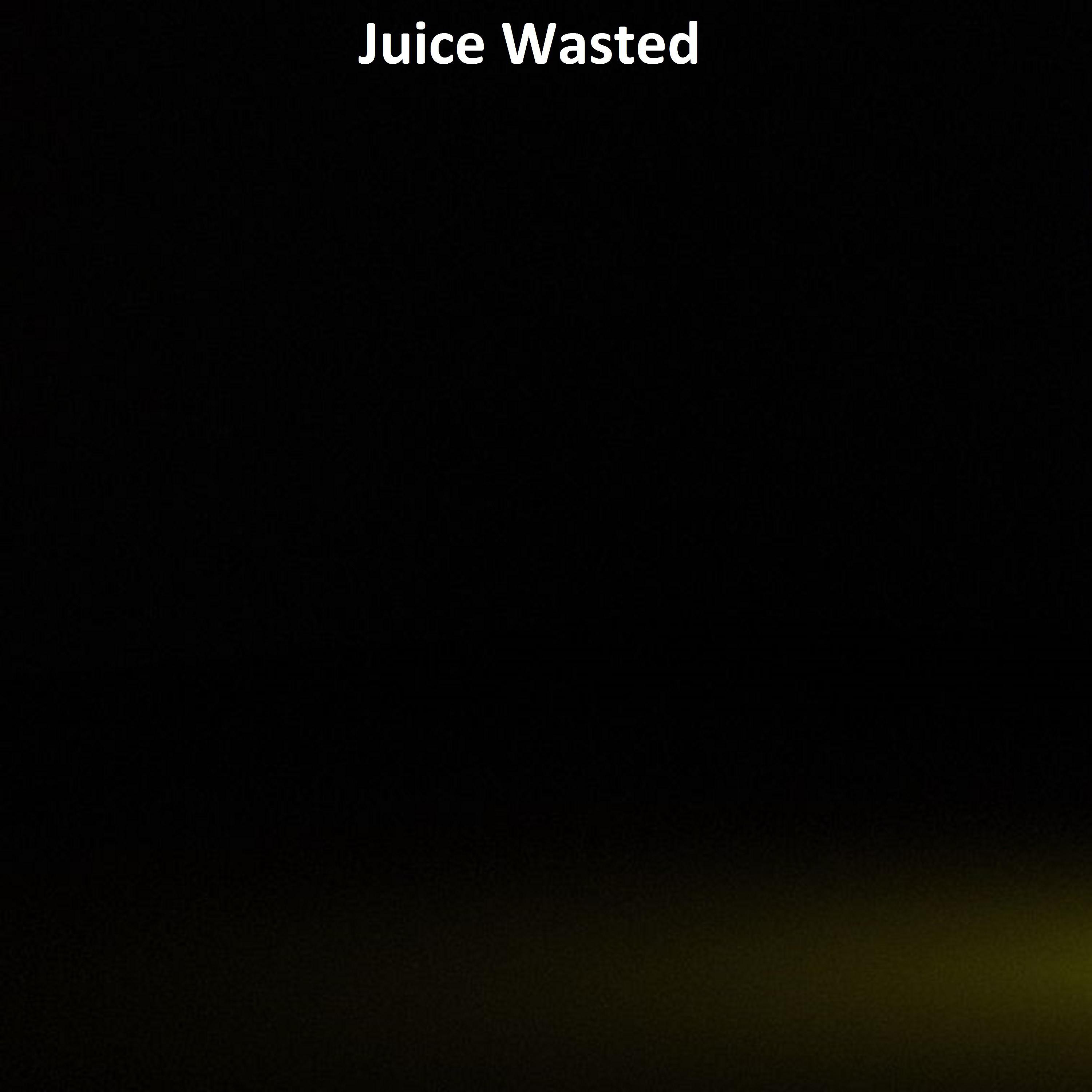 Постер альбома Juice Wasted