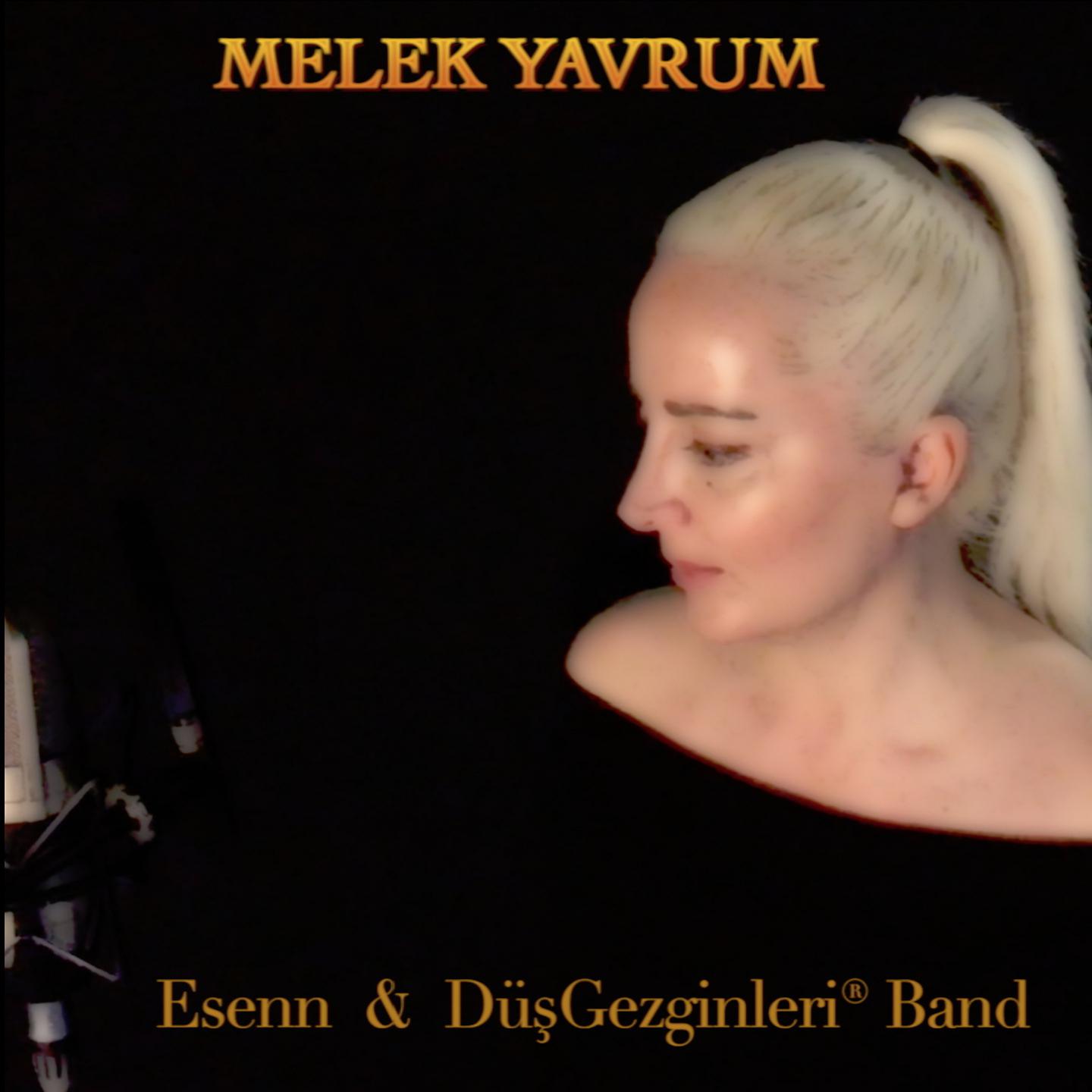 Постер альбома Melek Yavrum