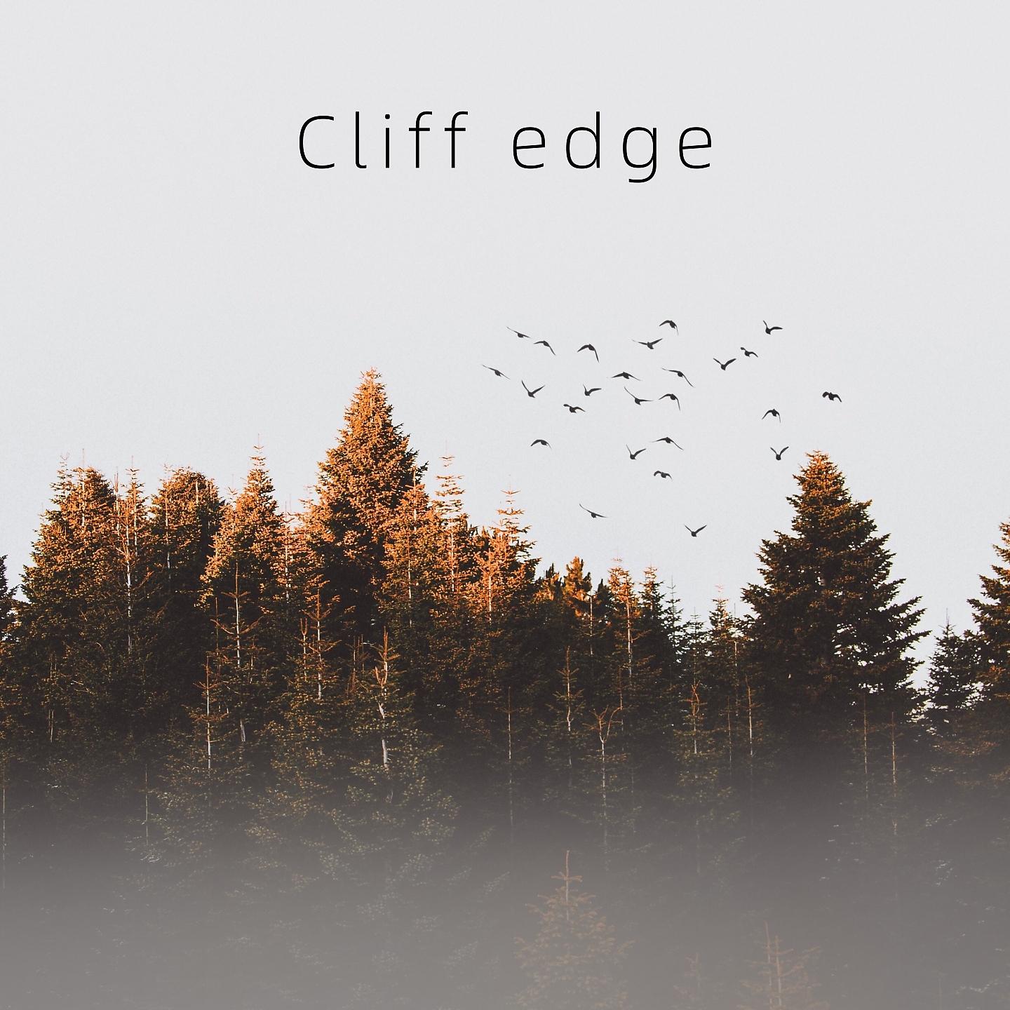 Постер альбома Cliff edge