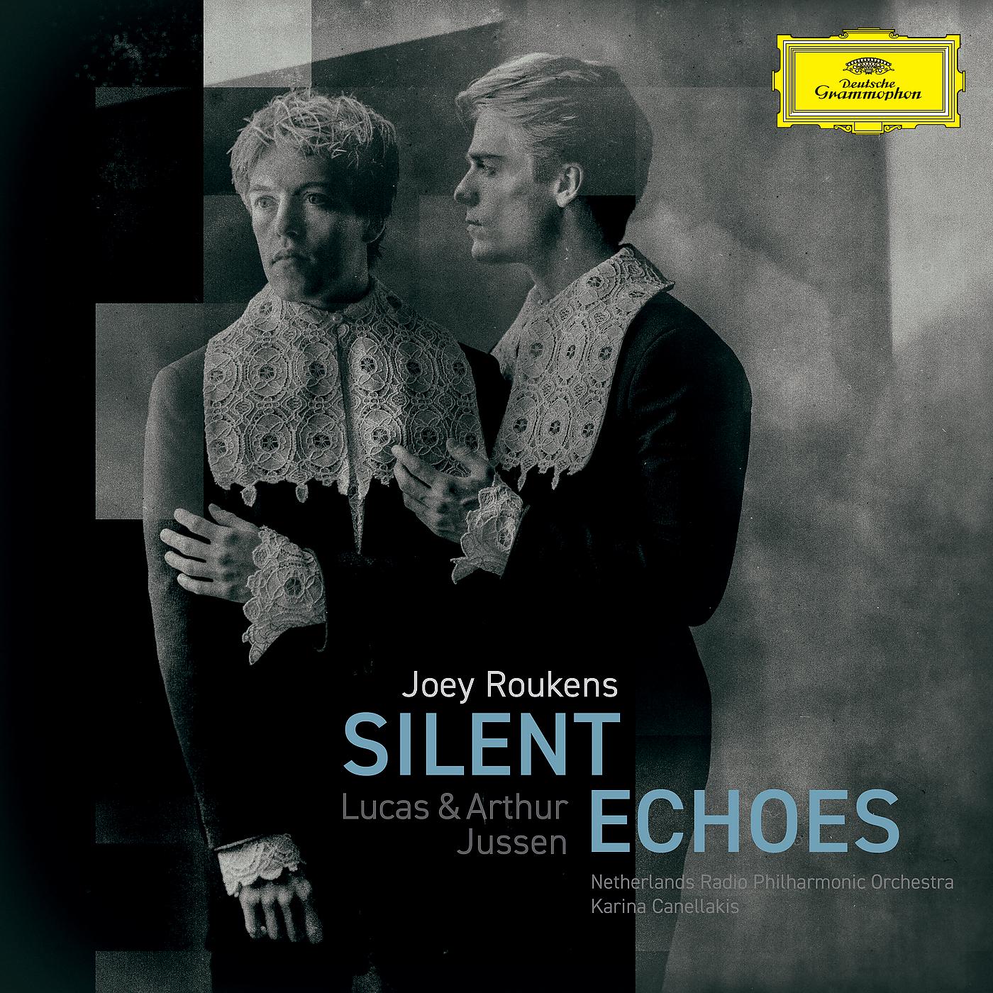 Постер альбома Roukens: Silent Echoes