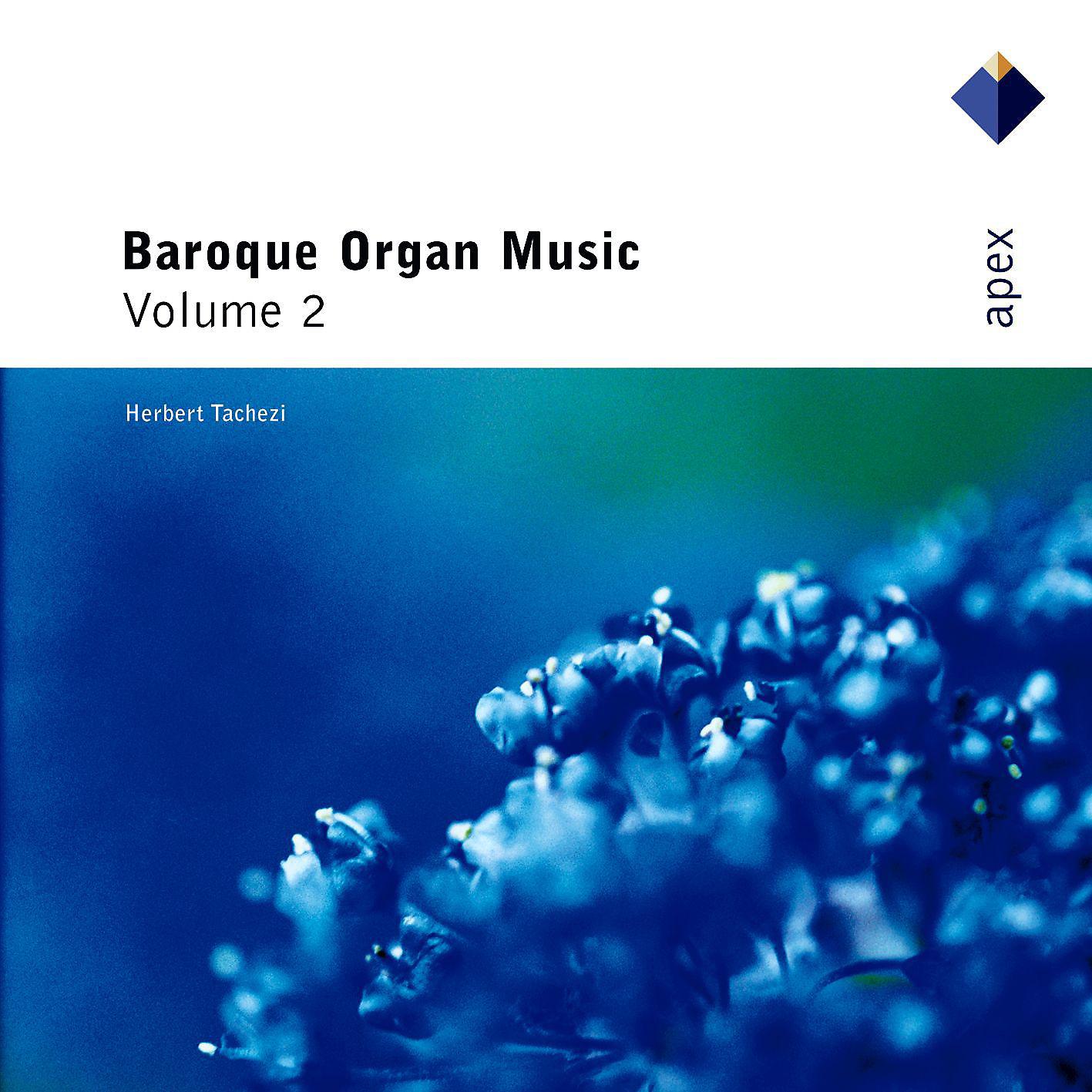 Постер альбома Baroque Organ Music Vol.2  -  Apex