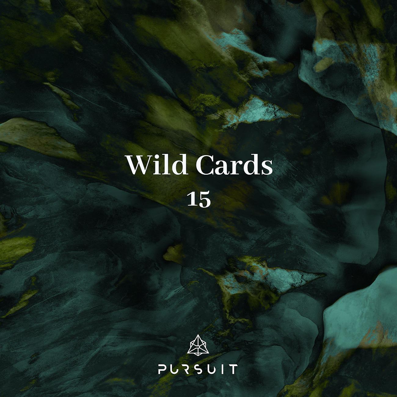 Постер альбома Wild Cards 15