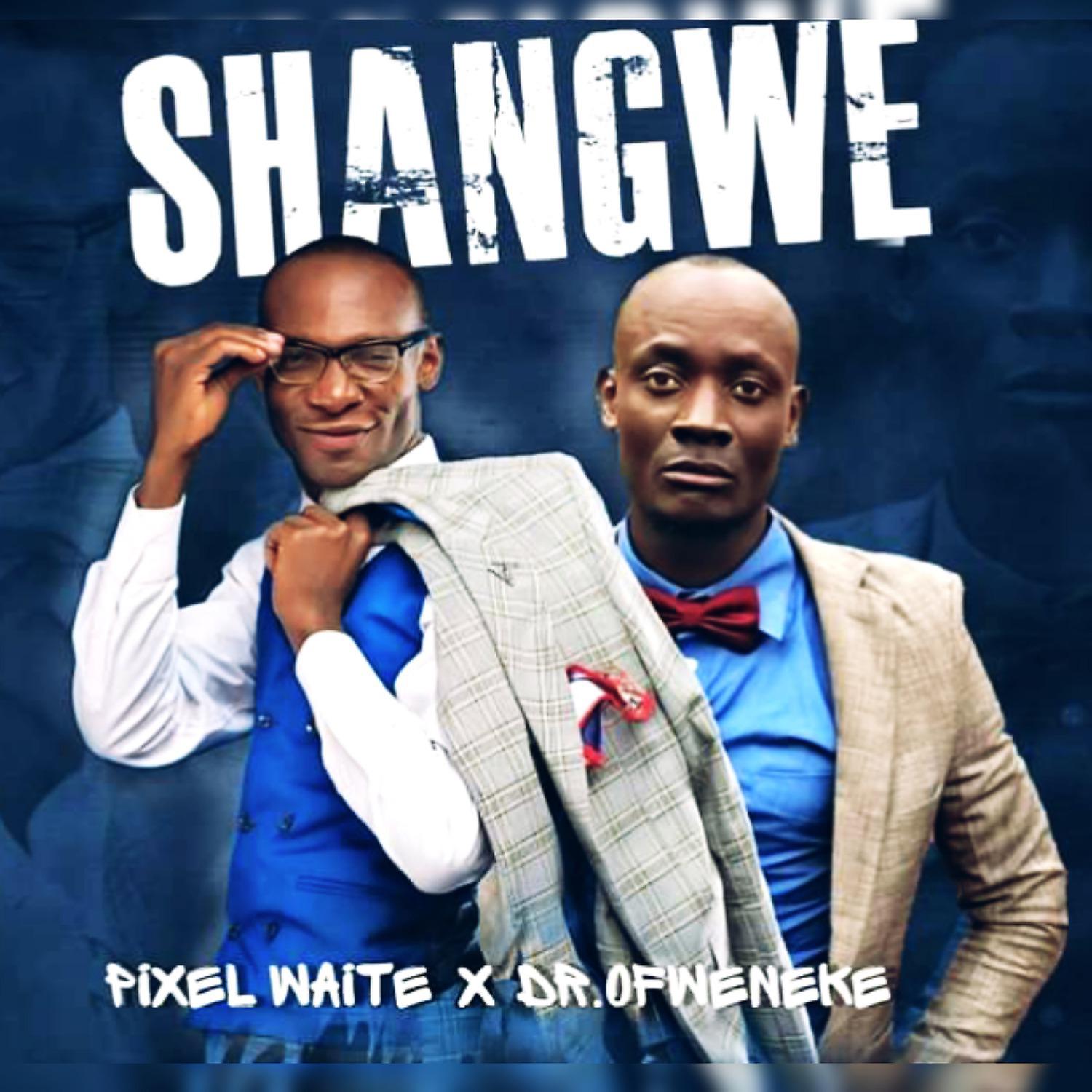 Постер альбома Shangwe