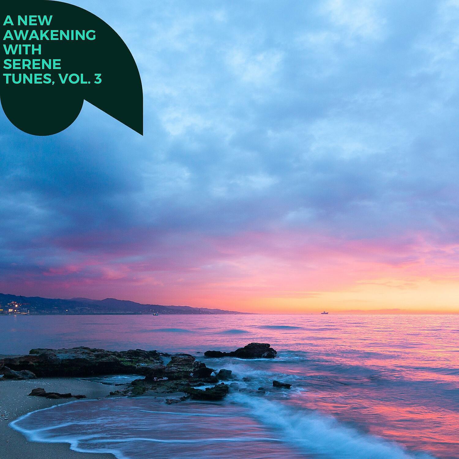 Постер альбома A New Awakening with Serene Tunes, Vol. 3