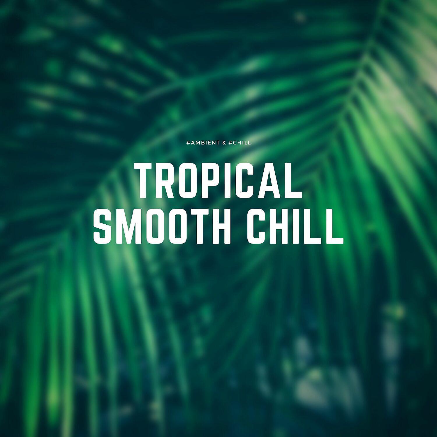 Постер альбома Tropical Smooth Chill Music