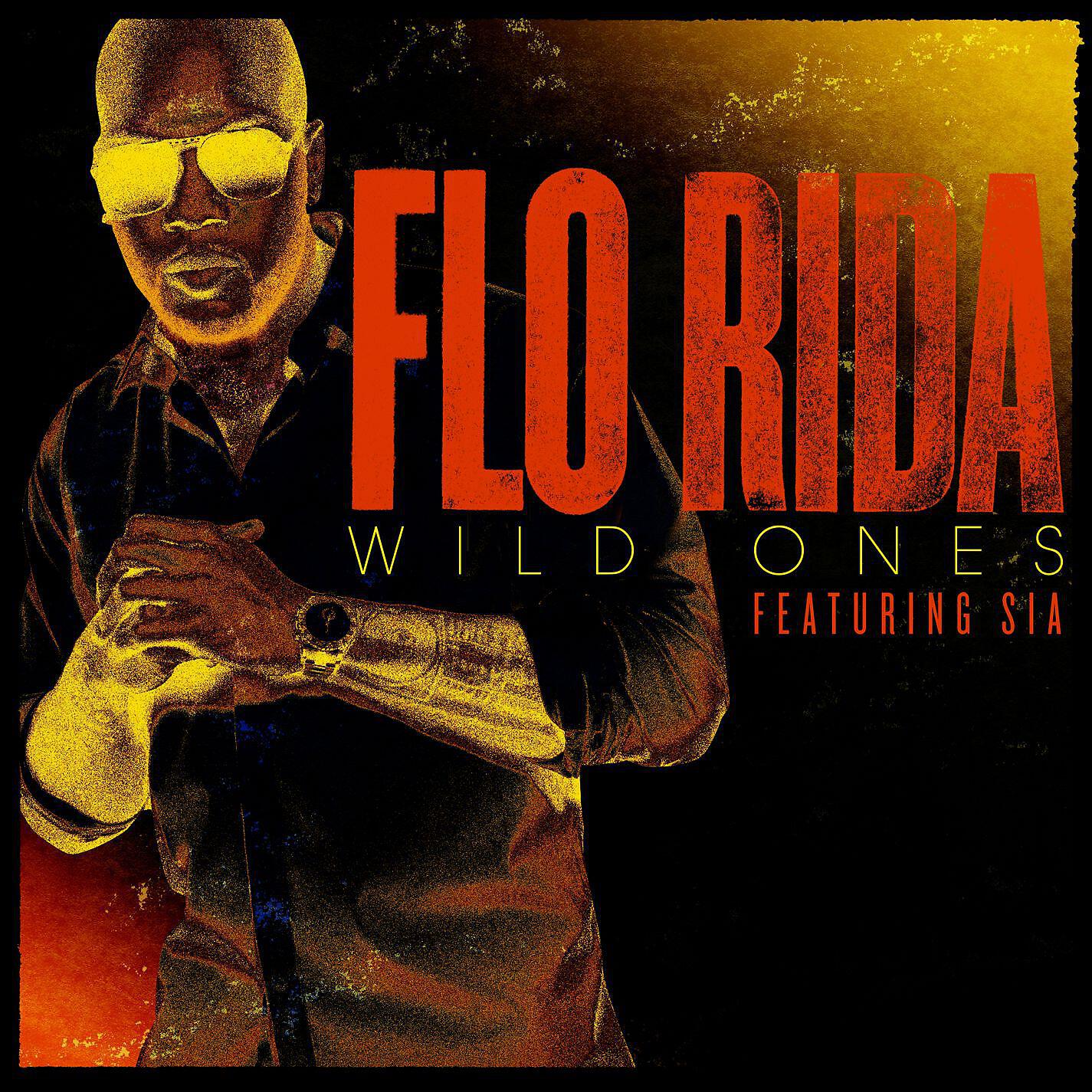 Flo Rida - Wild Ones (feat. Sia)